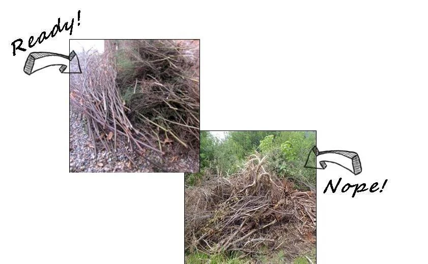 Mobile Chipping Sign-Ups - 2022