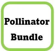 Pollinator bundle.jpg