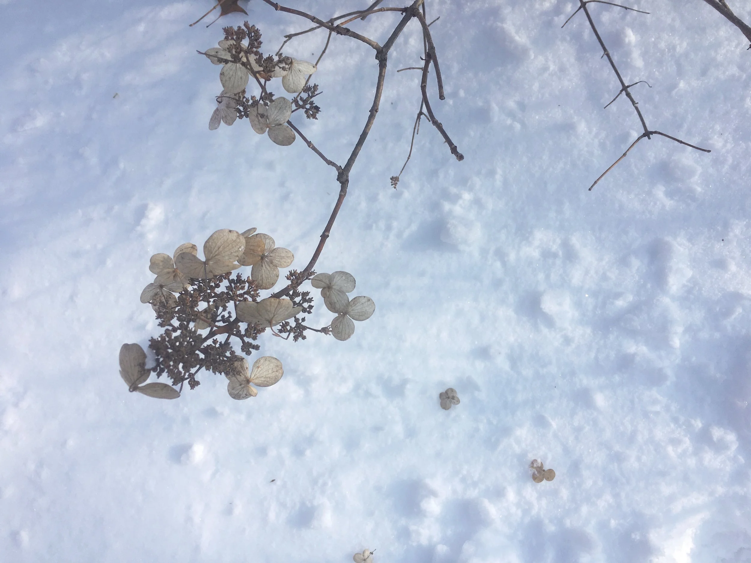 The Long Quiet Trial - thoughts on infertility   (originally posted Aug. 2, 2014)