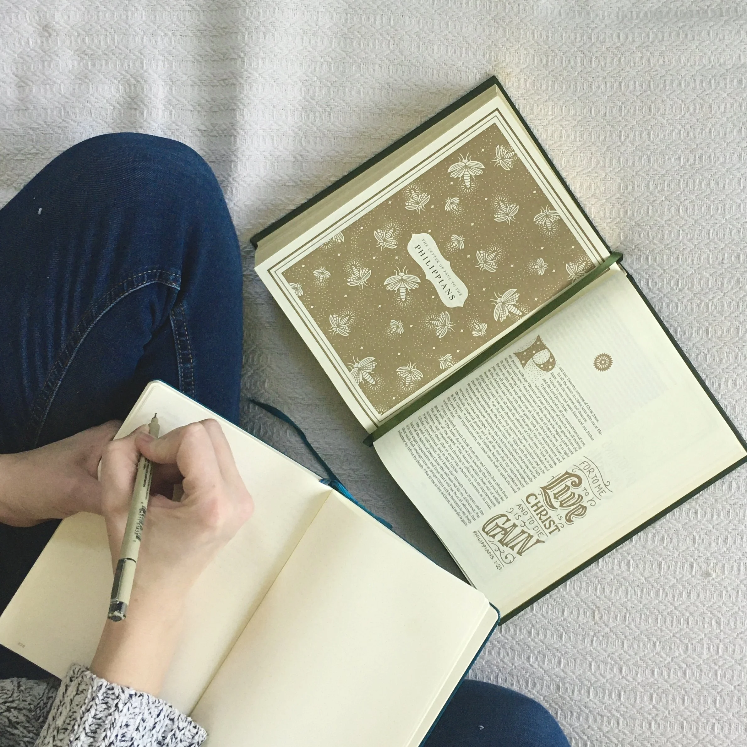 Word ramblings: gentleness