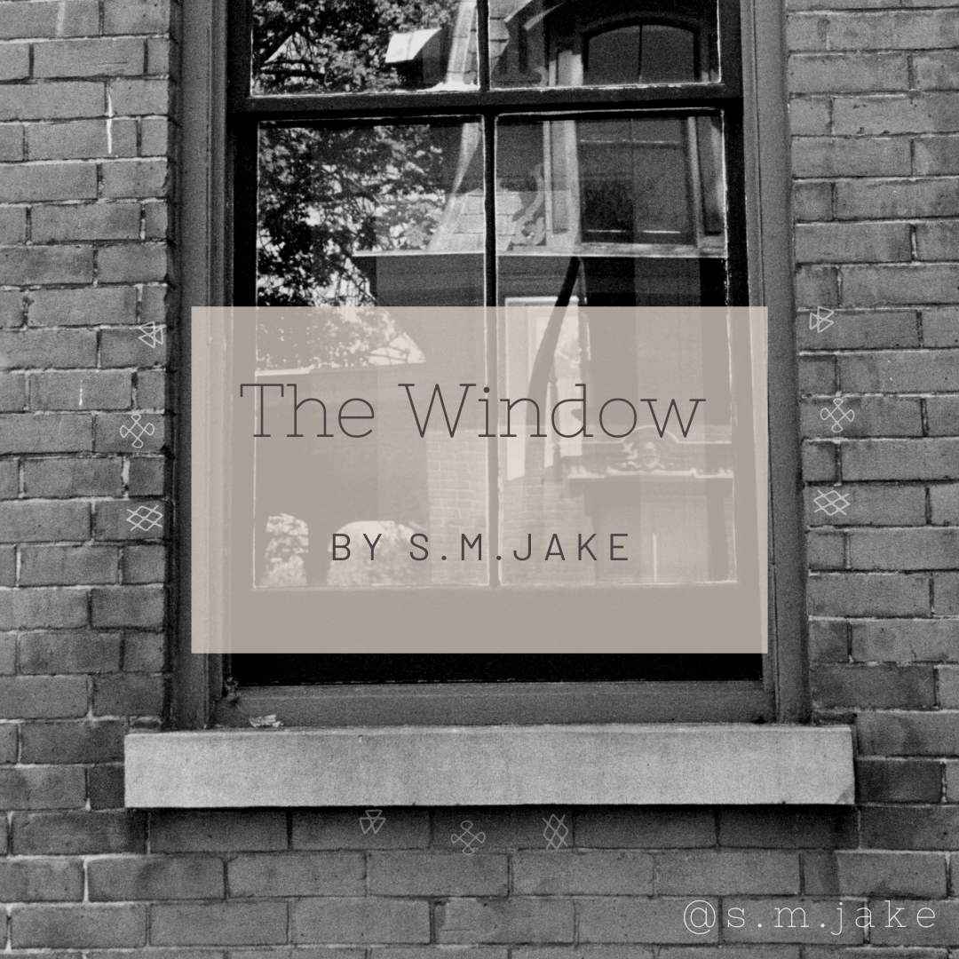 The Window