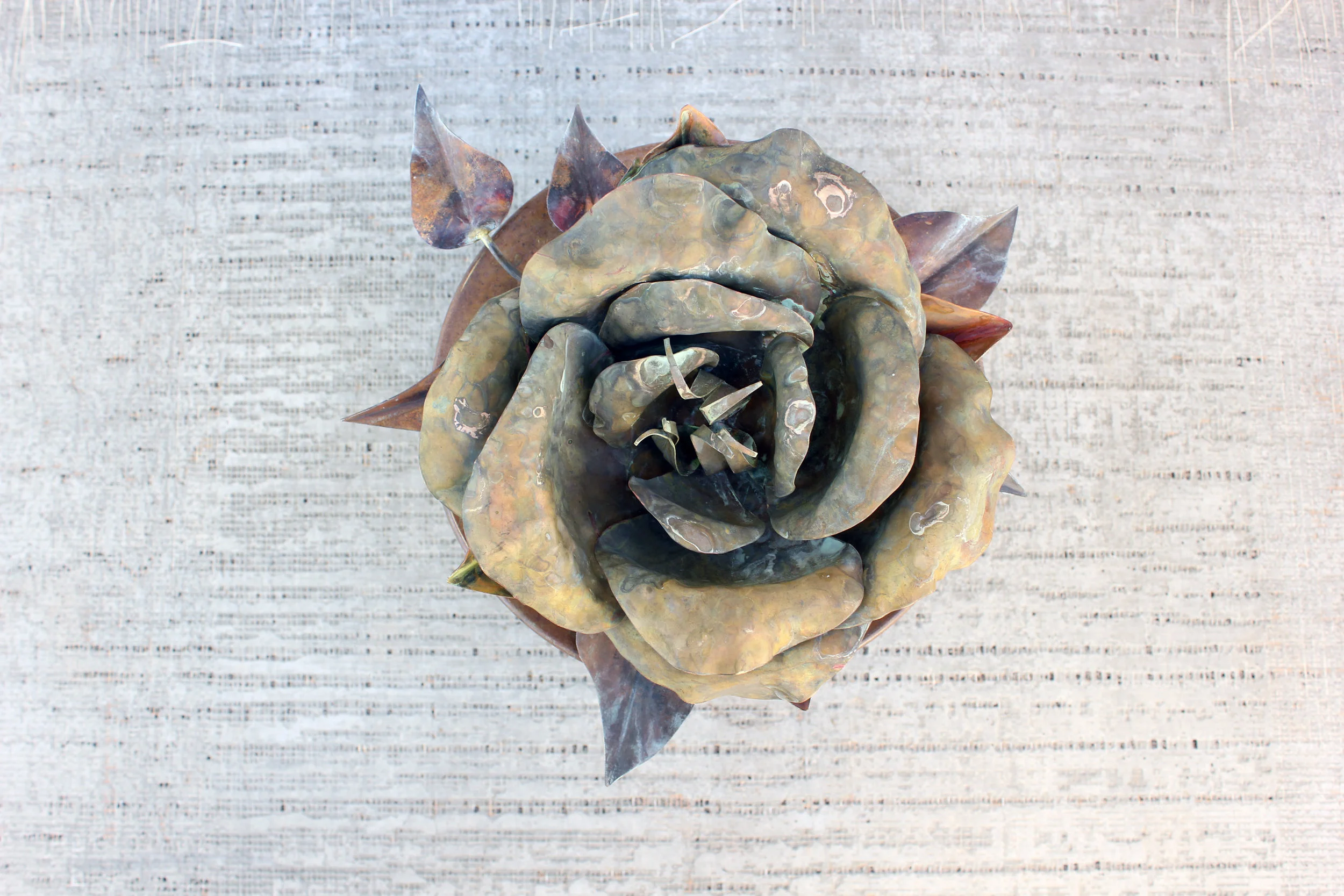 bfdg product 08814.jpg