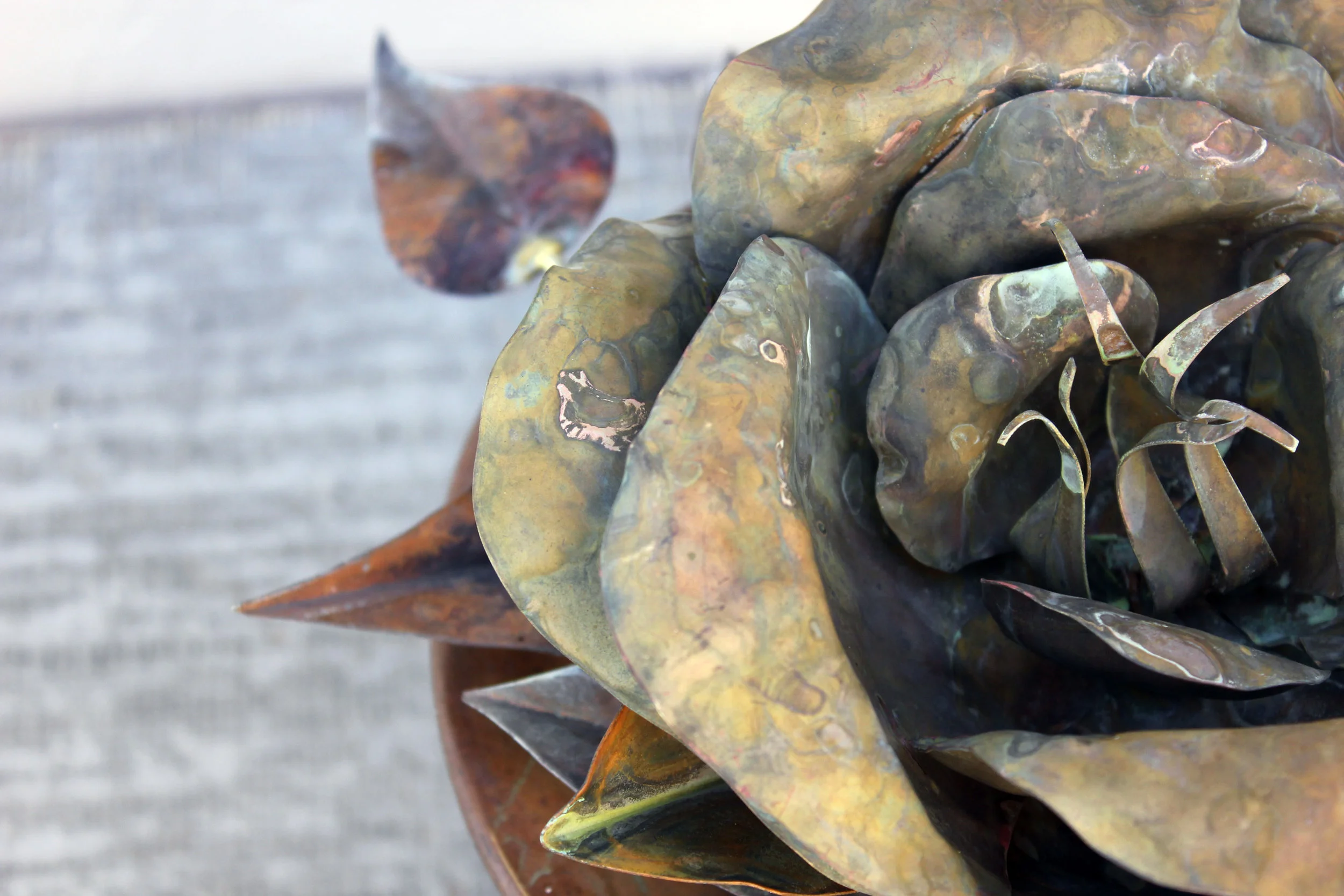 bfdg product 08612.jpg