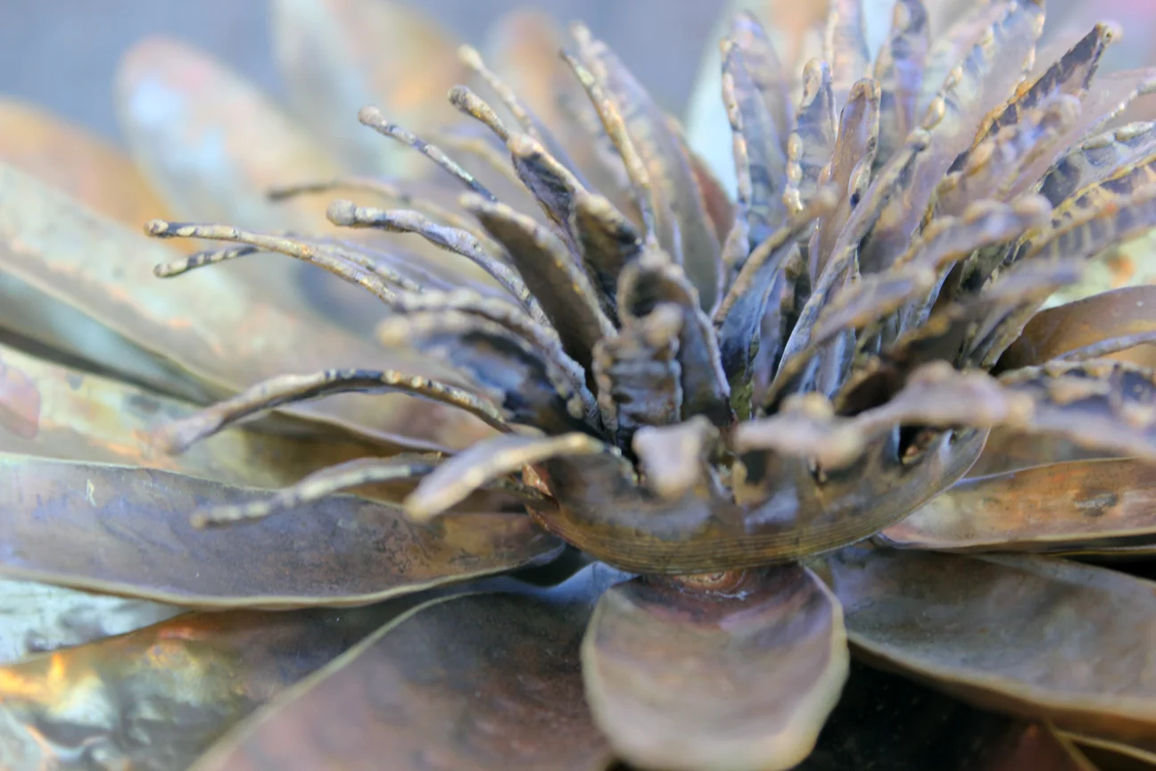 Waterlilywaterfountain1.jpg