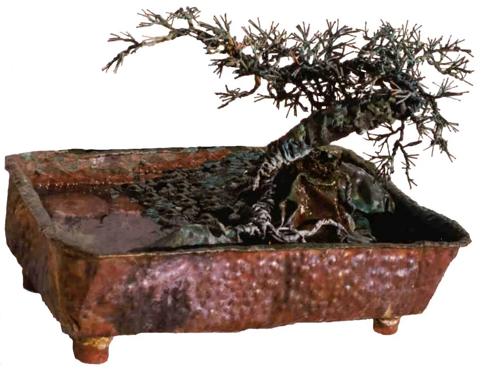 bonsai2.jpg