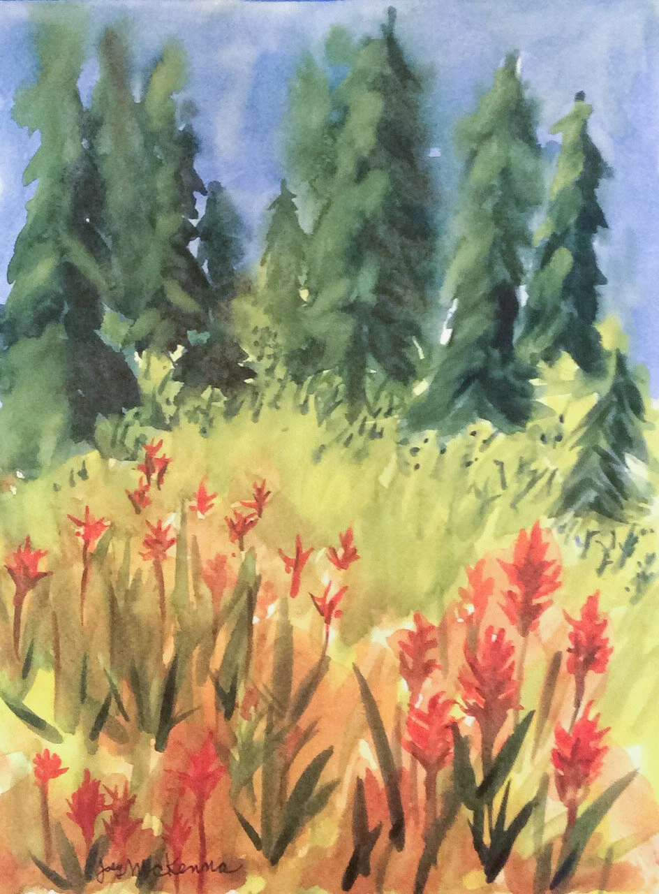 indian-paintbrush-IMG_0225-cc.jpg
