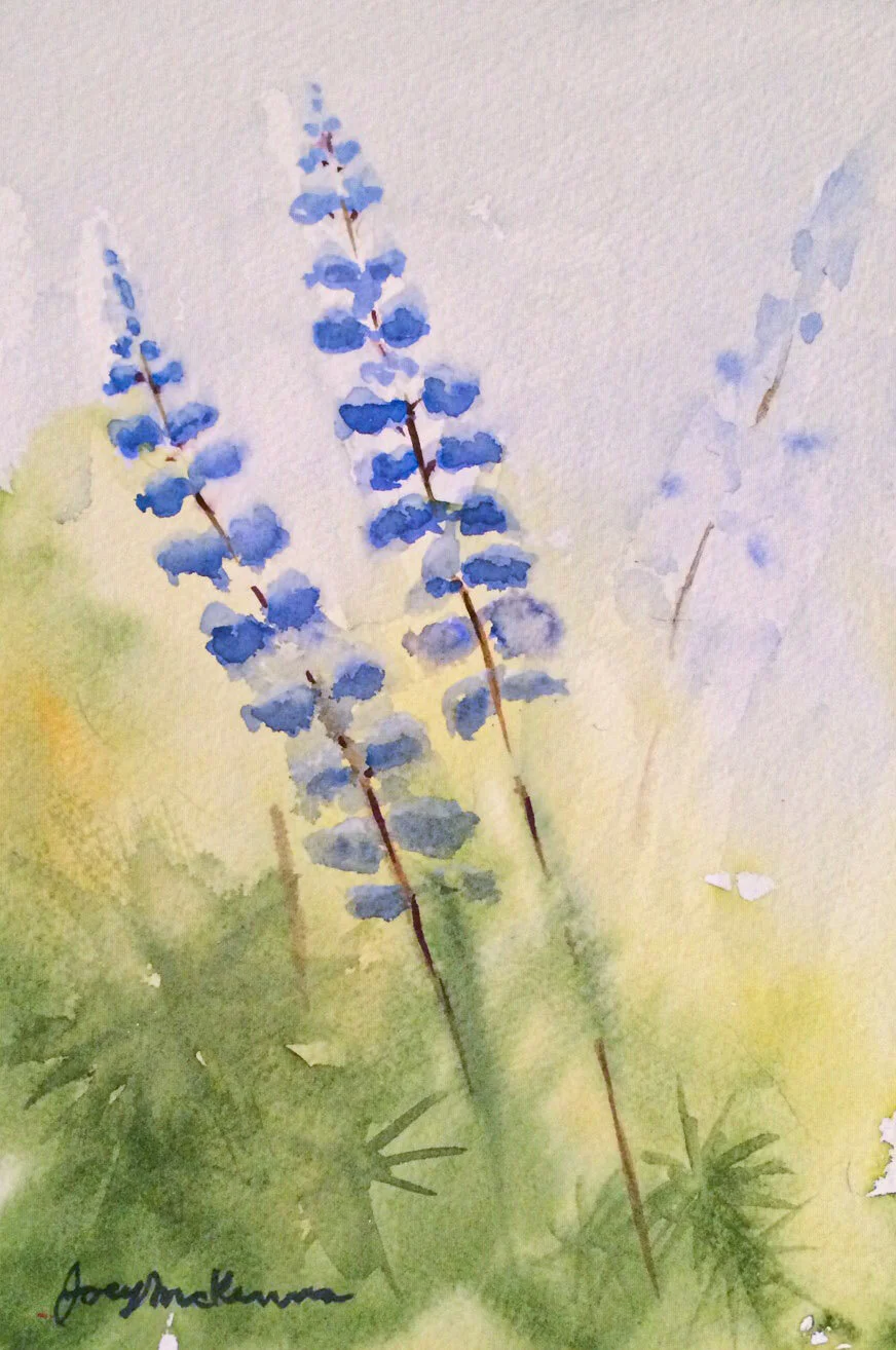 lupins-IMG_4808-cc.jpg