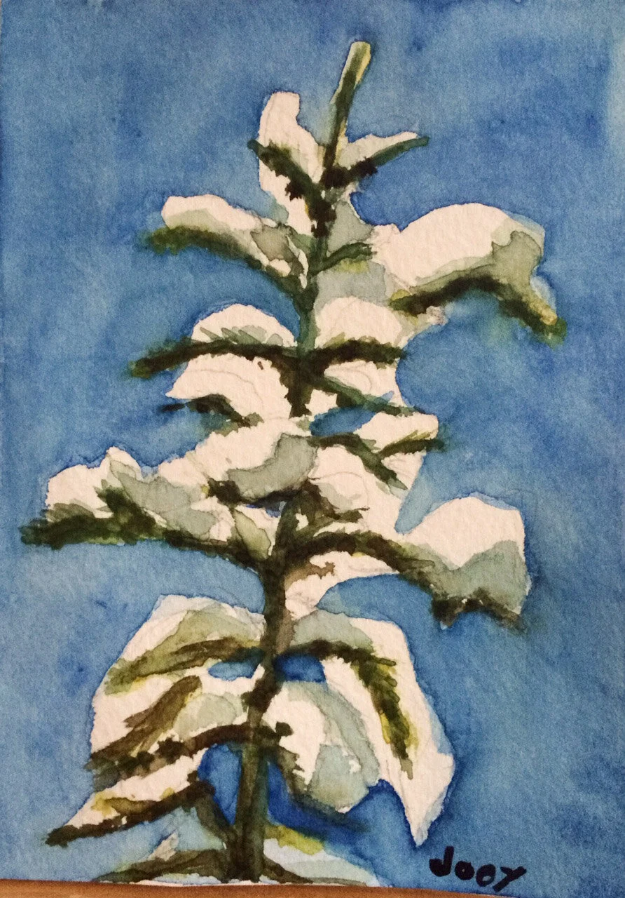 snowy-branch-IMG_0116-cc.jpg