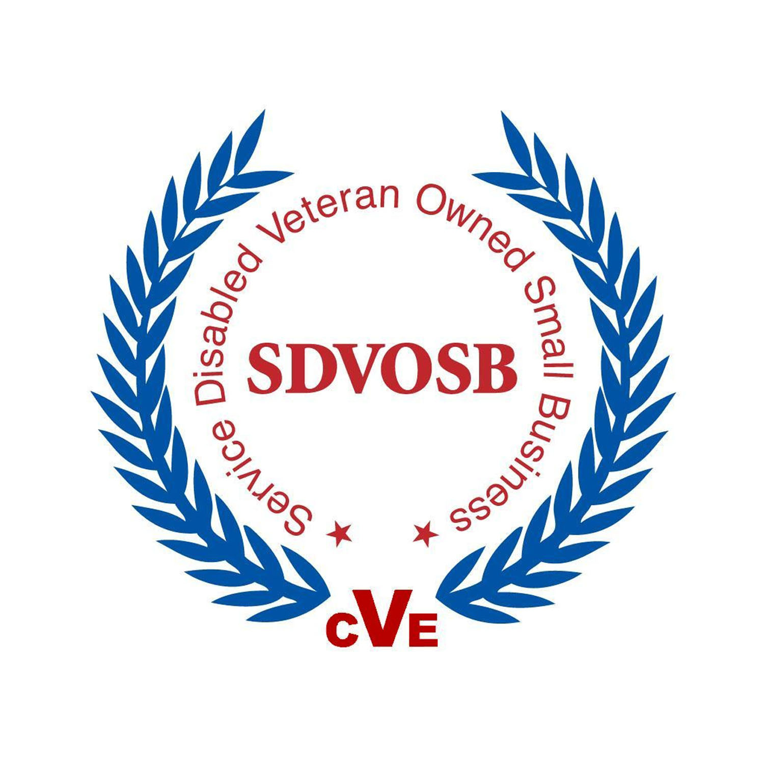 SDVOSB-WEB.jpg