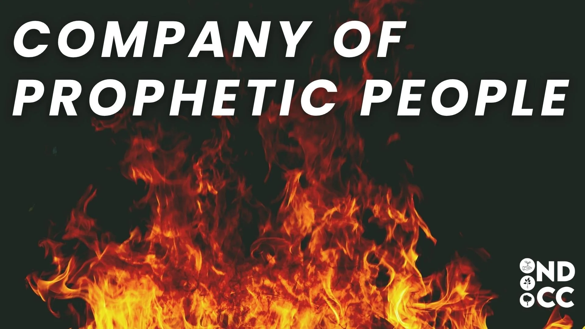 Company Of Prophetic People @7PM