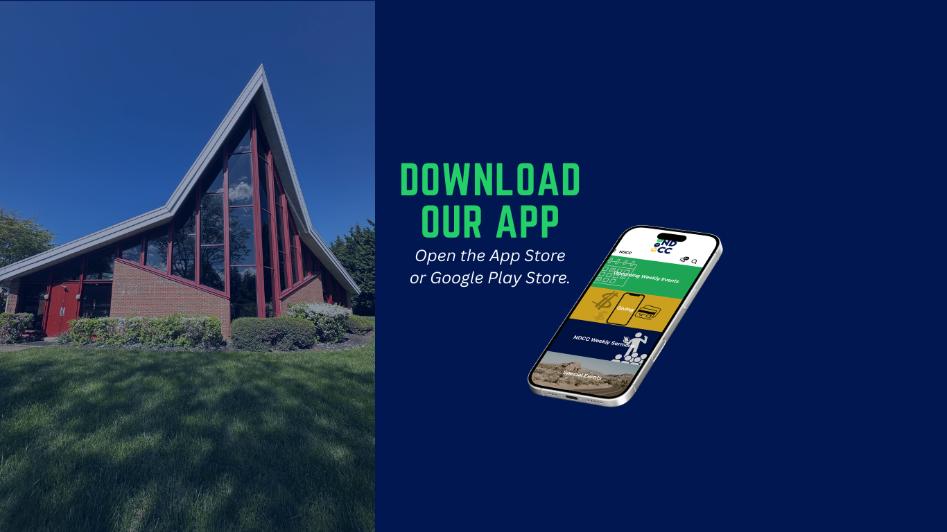 Blog Banner for Website Content (Website) 4.PNG