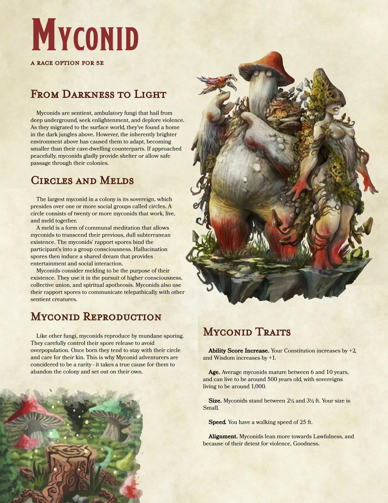 Character Races Dnd races 5e list | dnd 5e all classes – ICDK