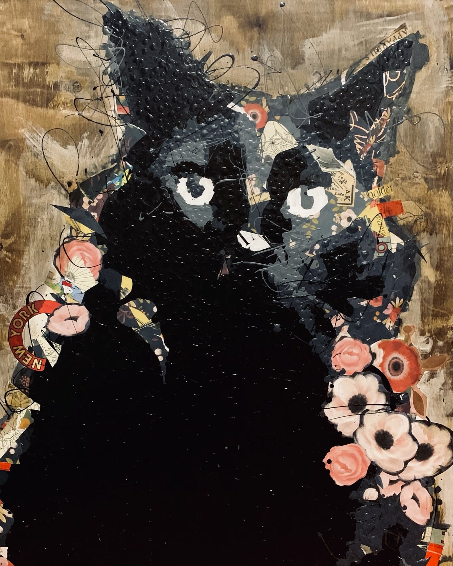 Blk Cat