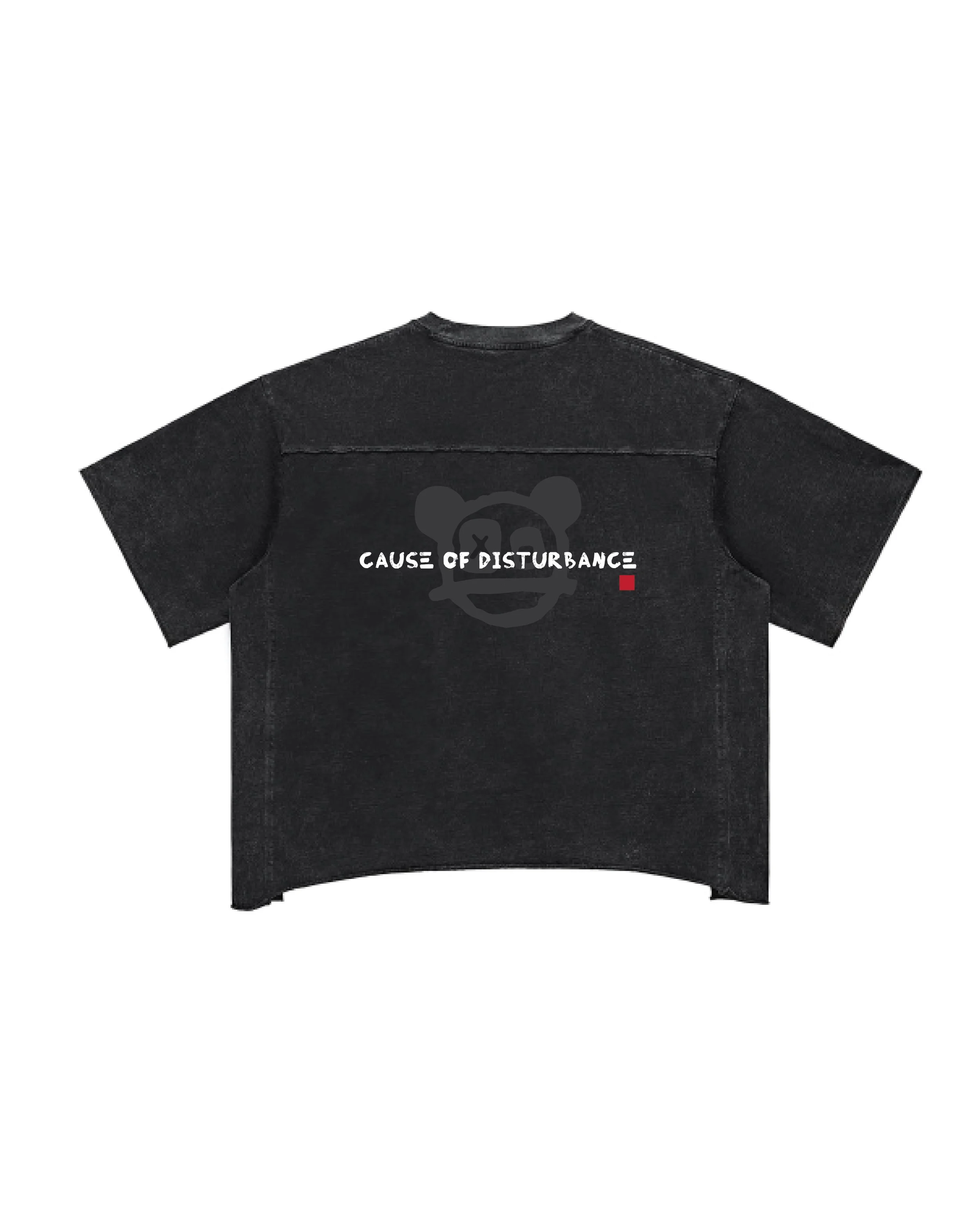 cause of disturbance-02.jpg