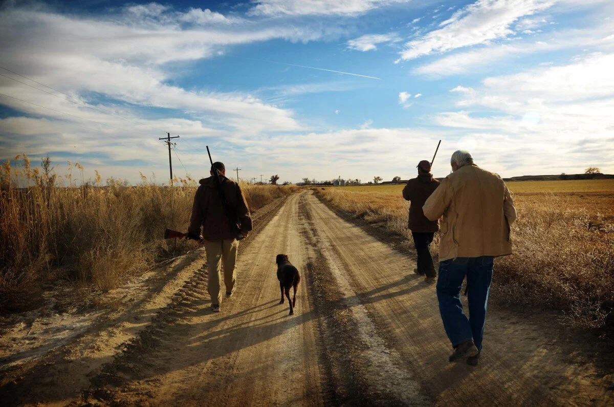EndofPheasantSmaller-1200x795.jpg