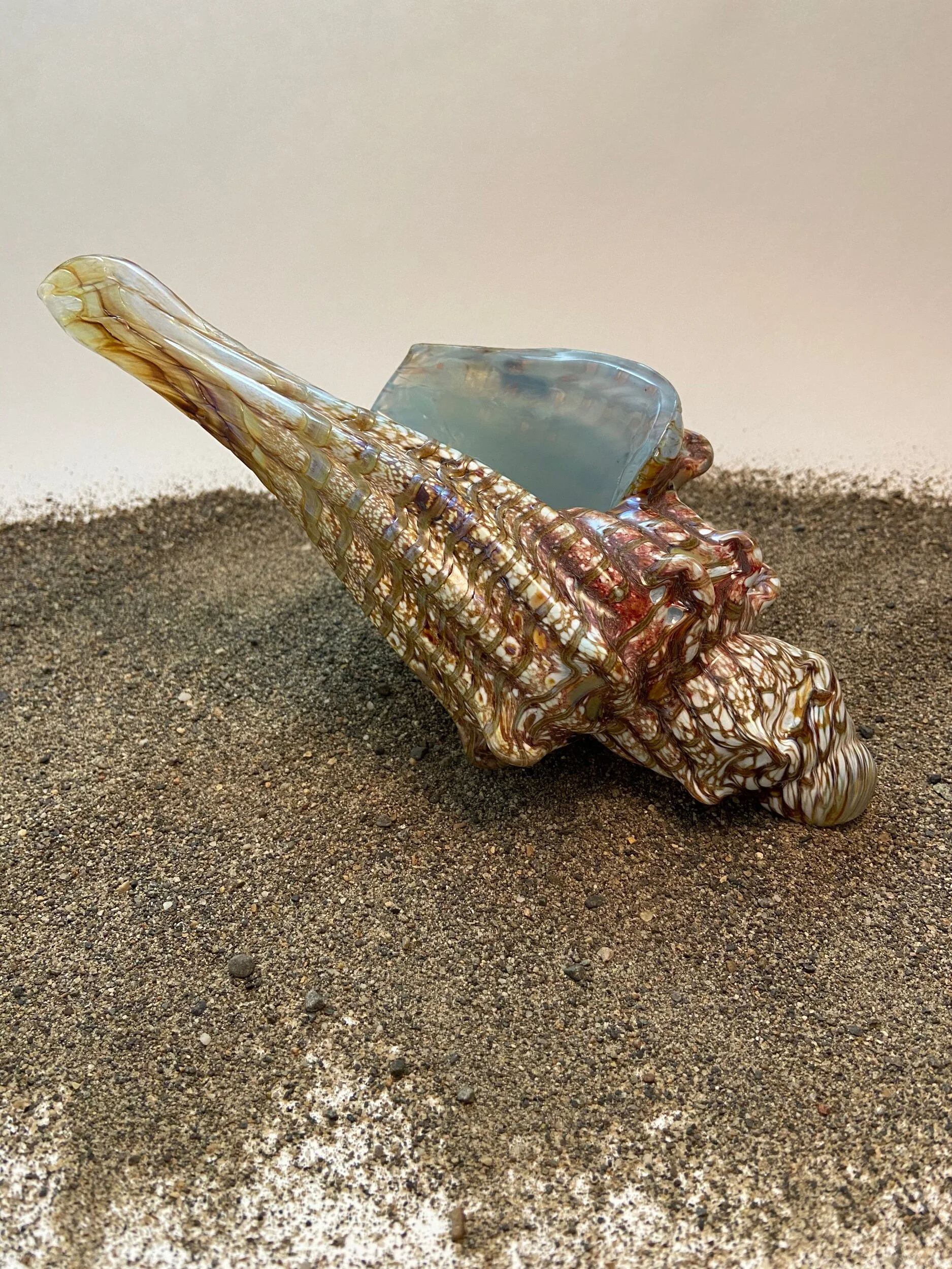 43D36993-E32D-48DE-A864-B853523A9264