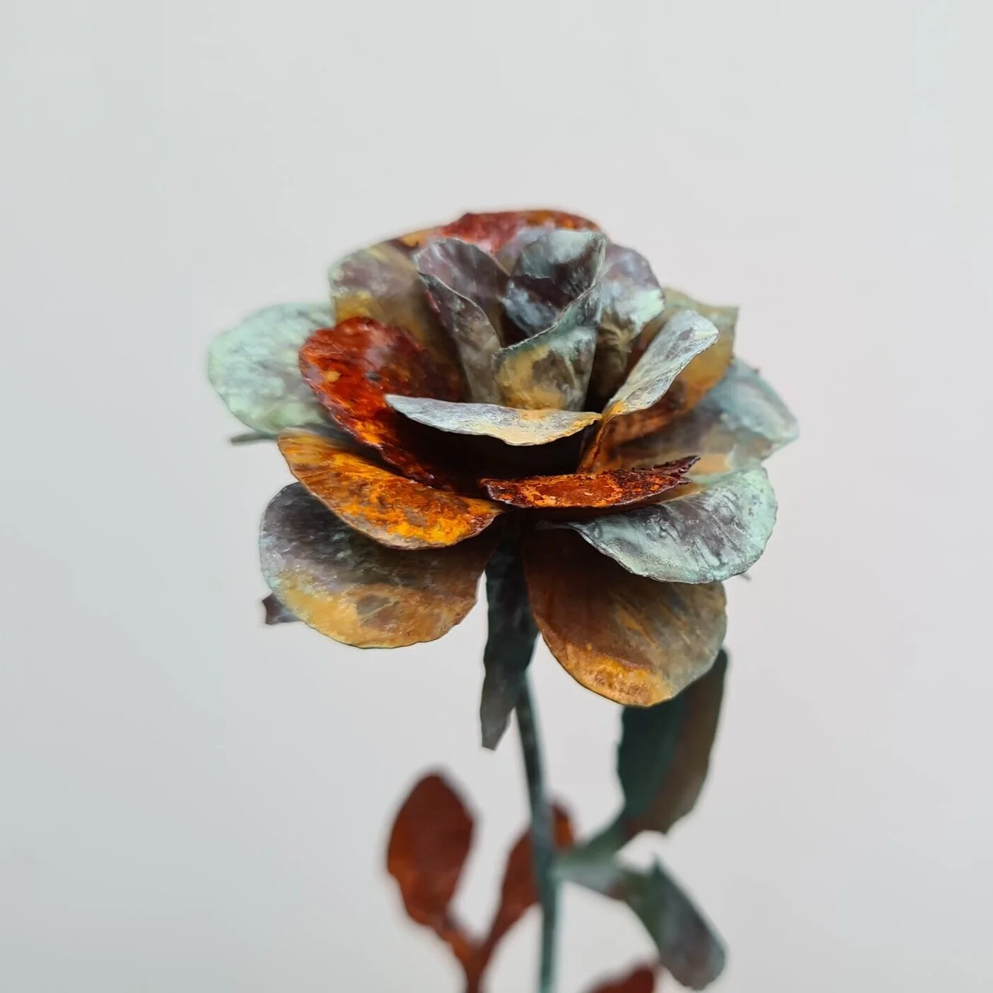 Penny Rose from around the world