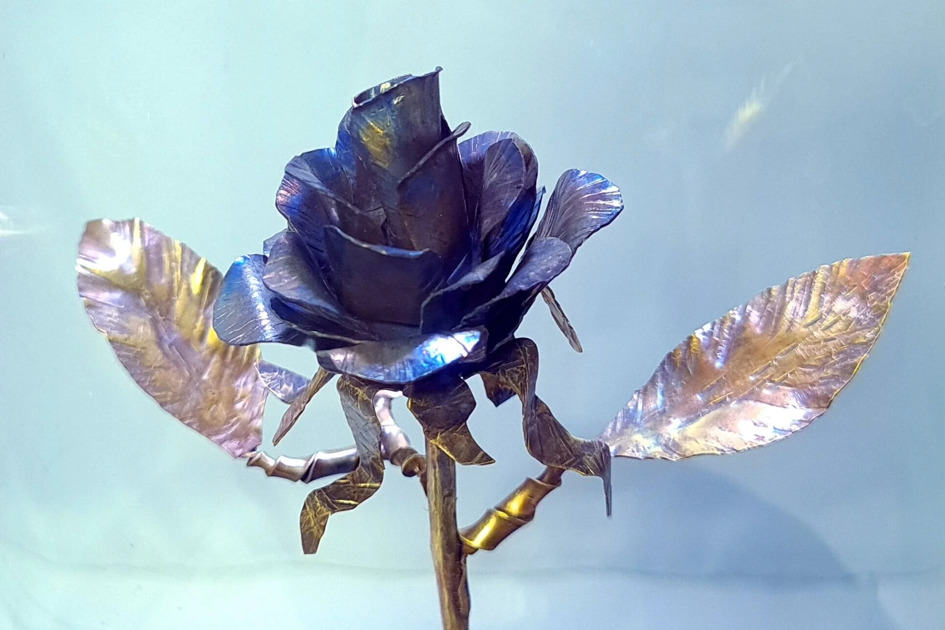 Blue Gulden Rose