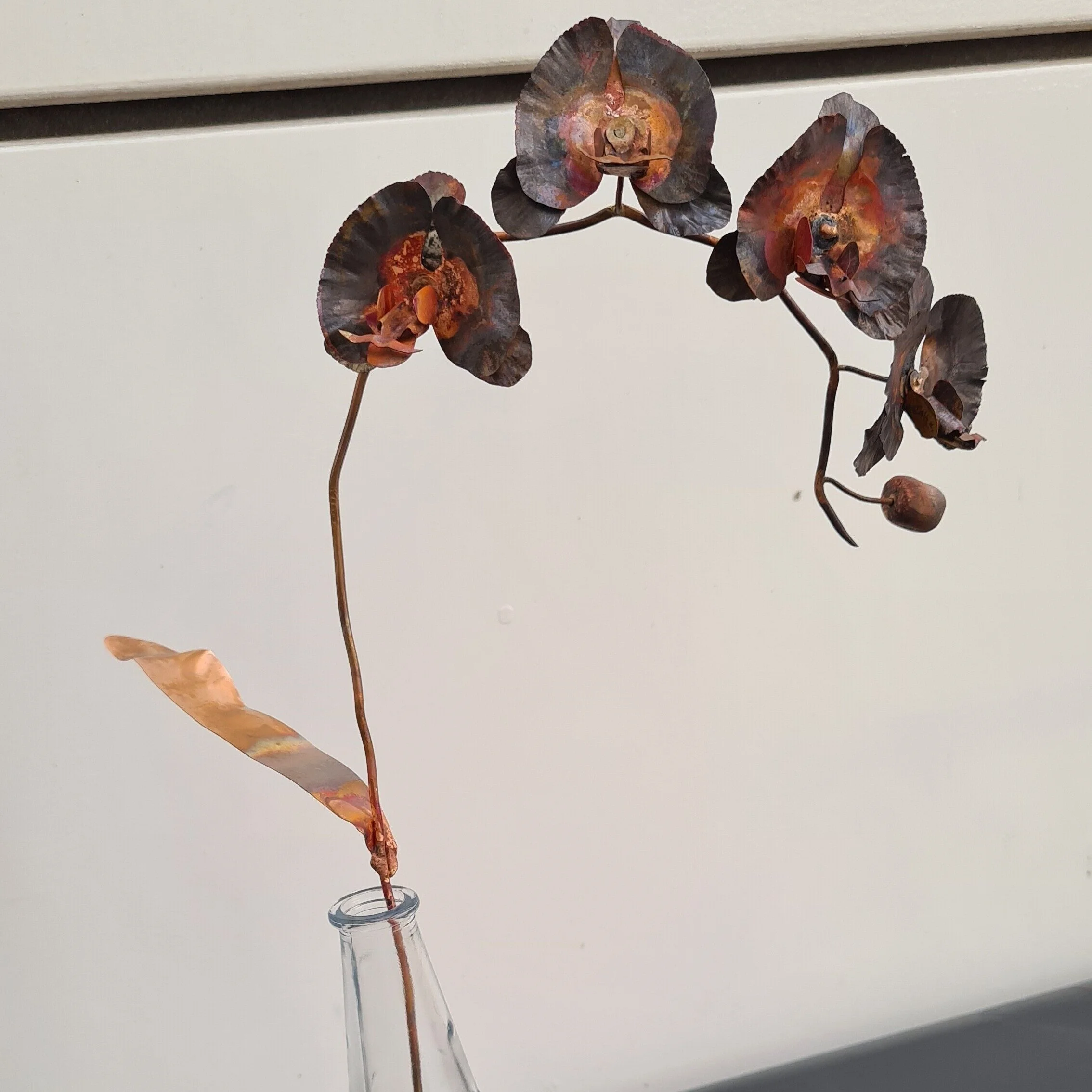 20200817_123931.jpg