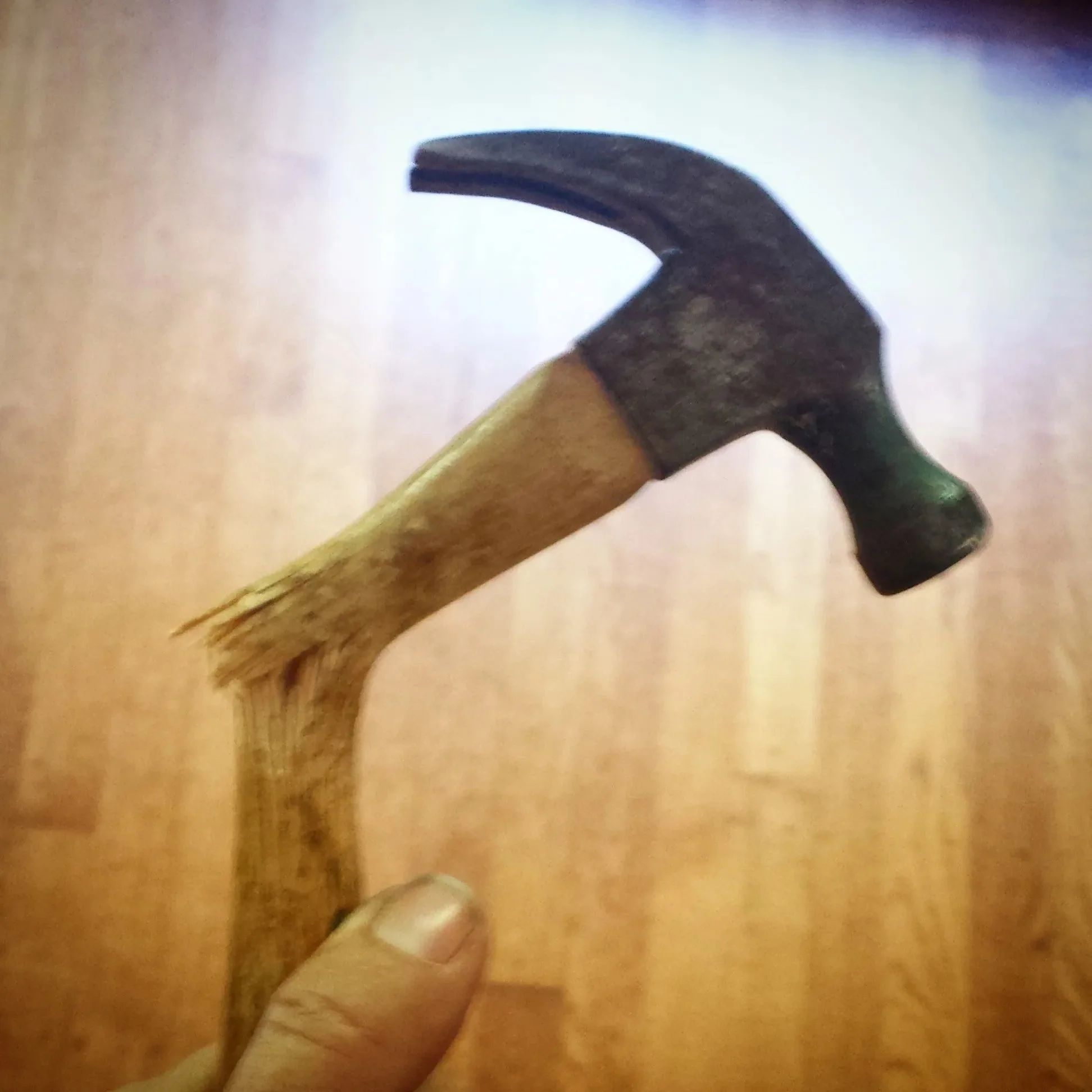 x img_20150802_141116.jpg