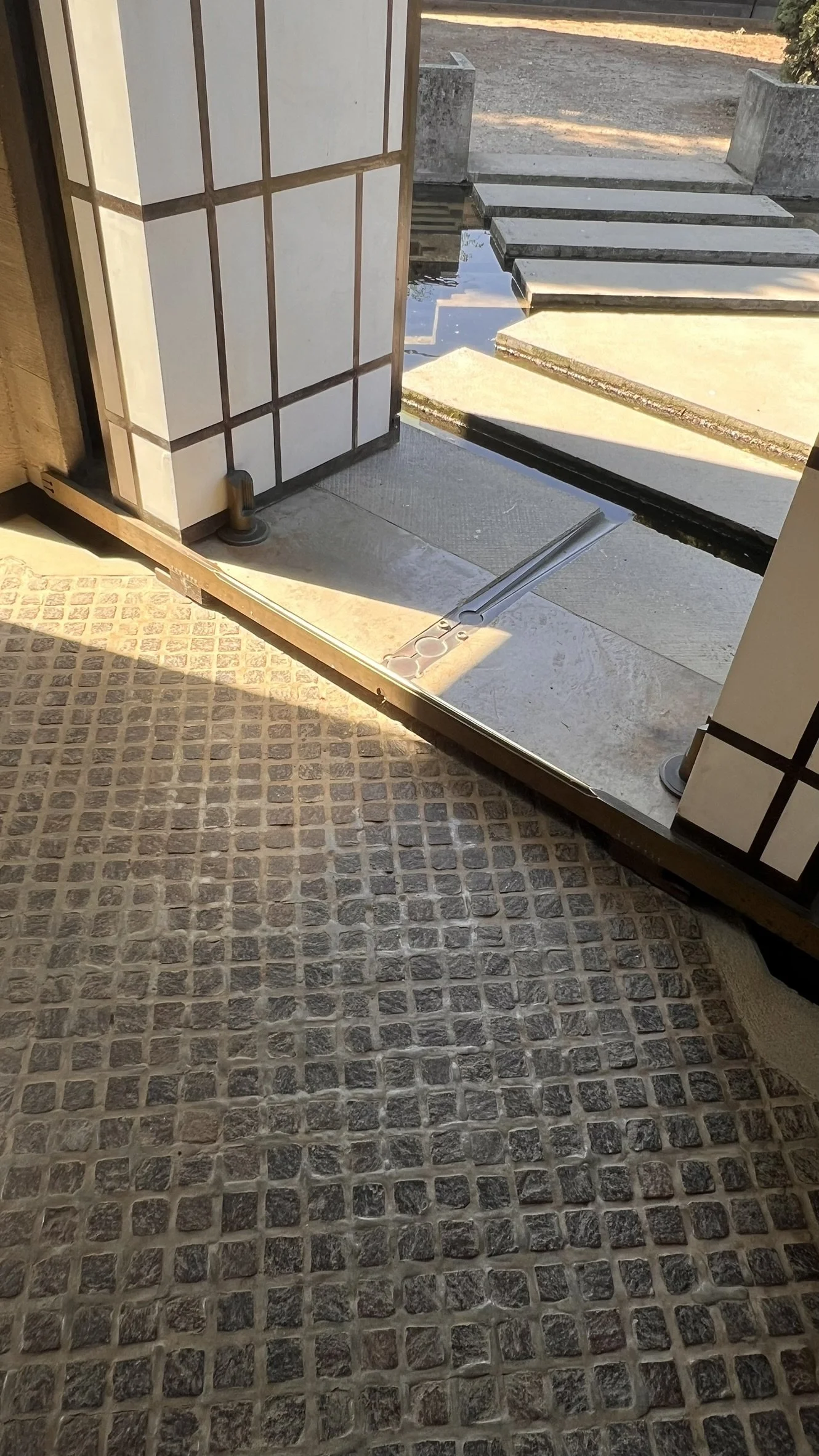 IMG_7906.JPEG
