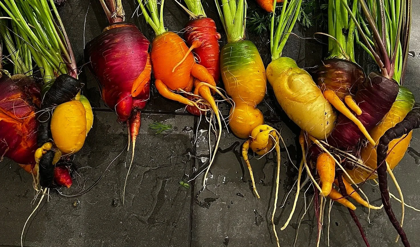 Garden is a Metaphor