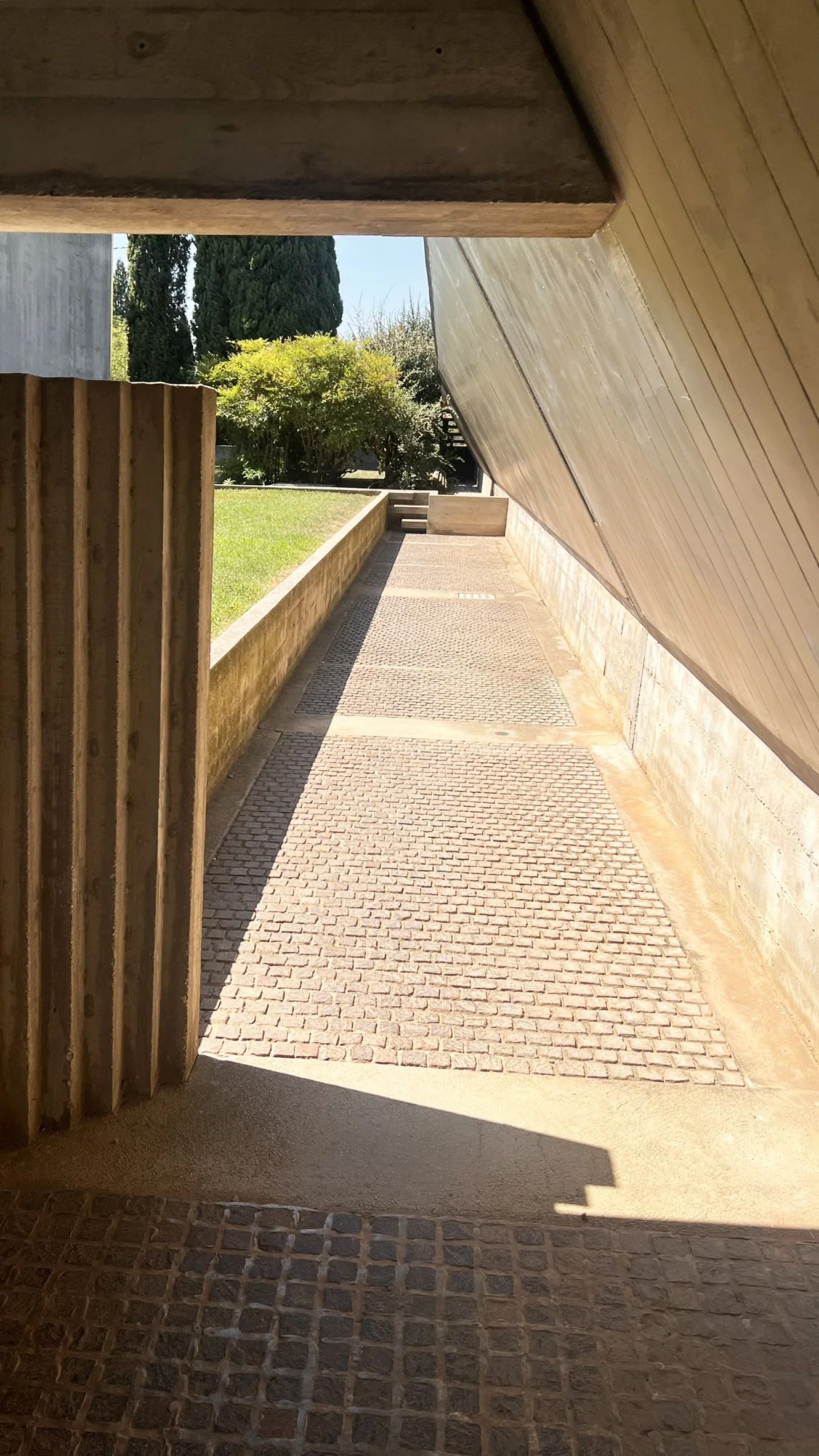 IMG_7861.JPEG