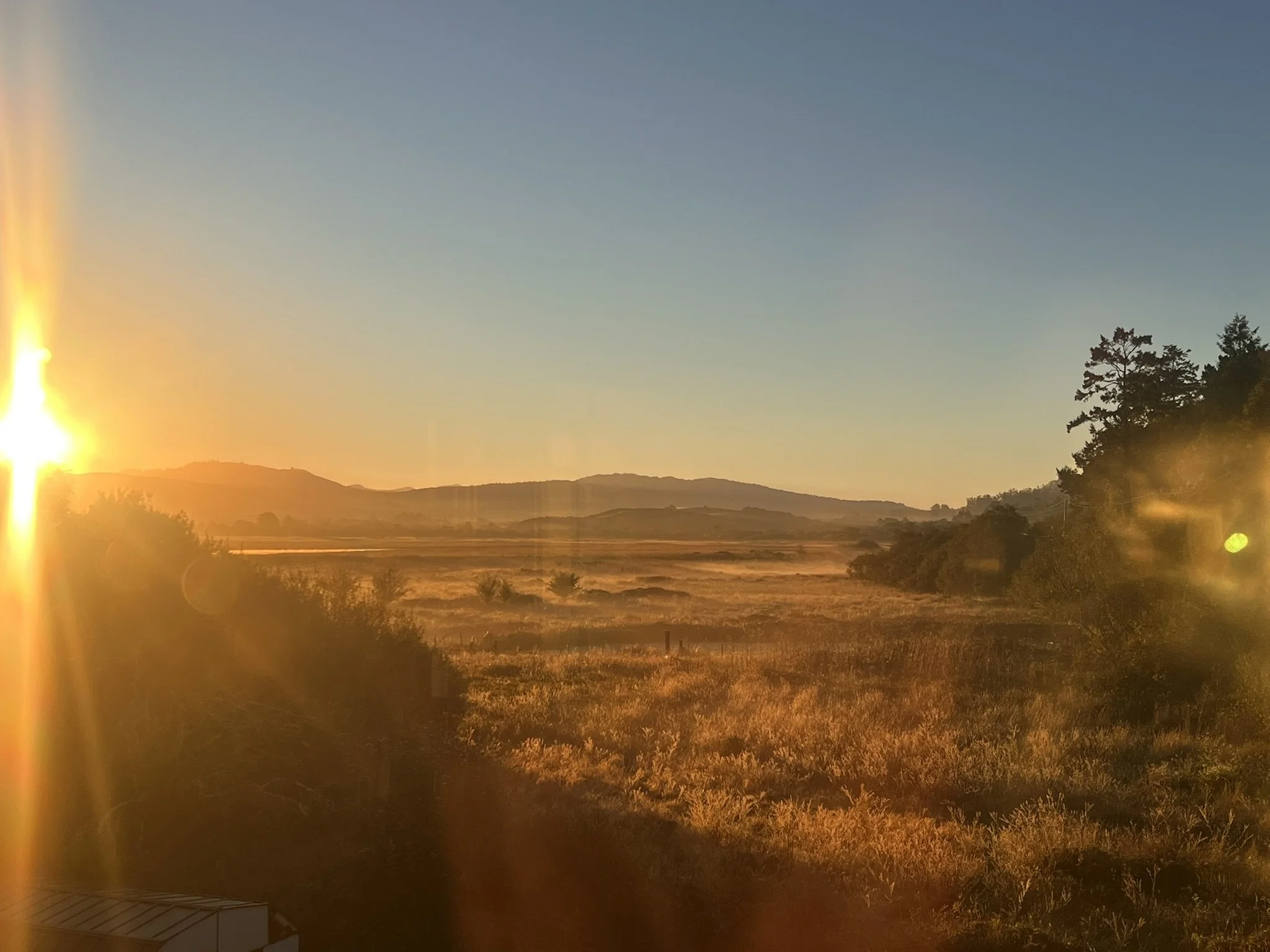 The Porch Project Begins