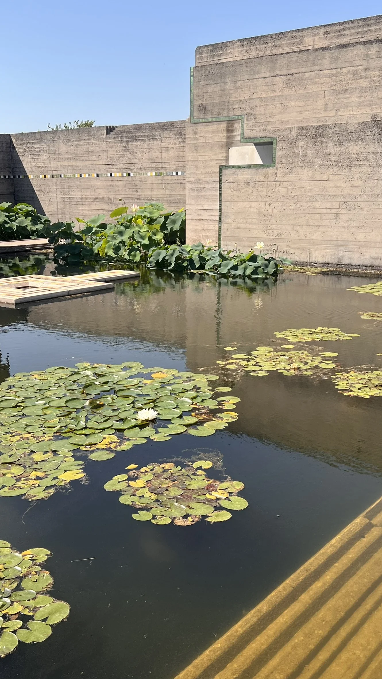 IMG_7782.JPEG