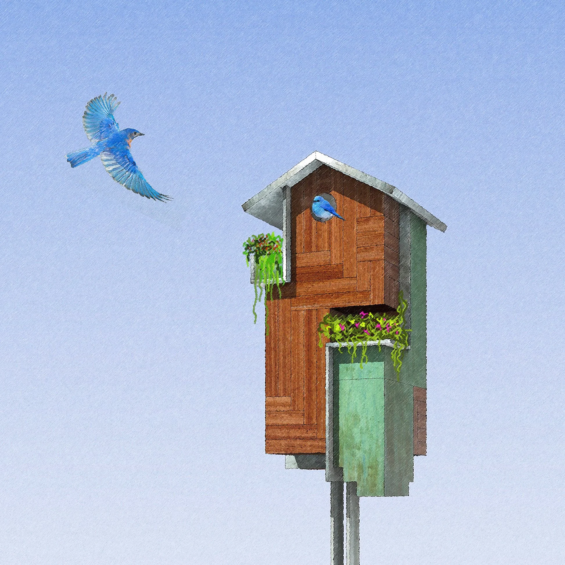 Sadie 1B action 2B copy.jpg