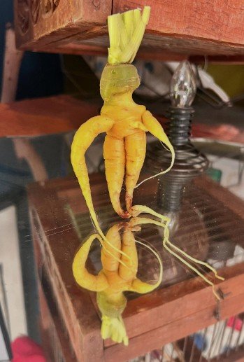 Screenshot 2026-03-06 110354.jpg