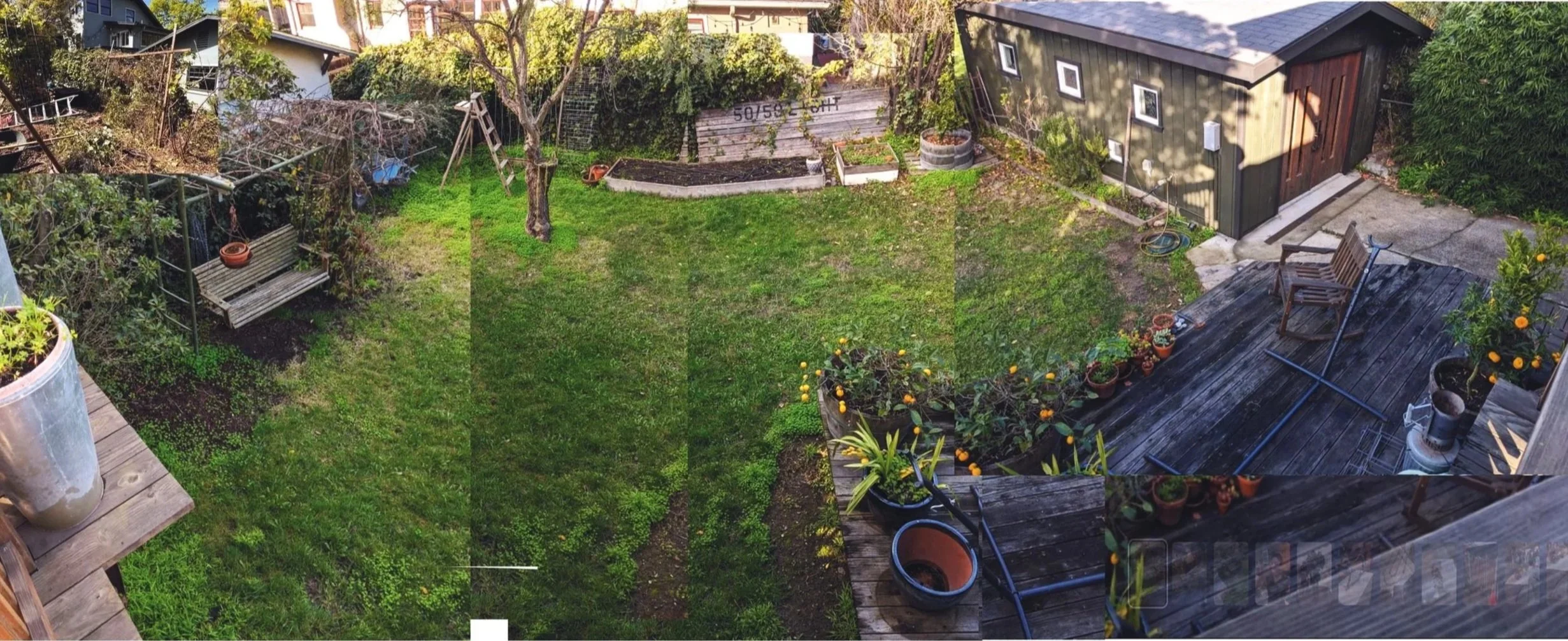 Before image documenting Berkeley garden before complete transformation to vibrant and colorful pollinator garden.