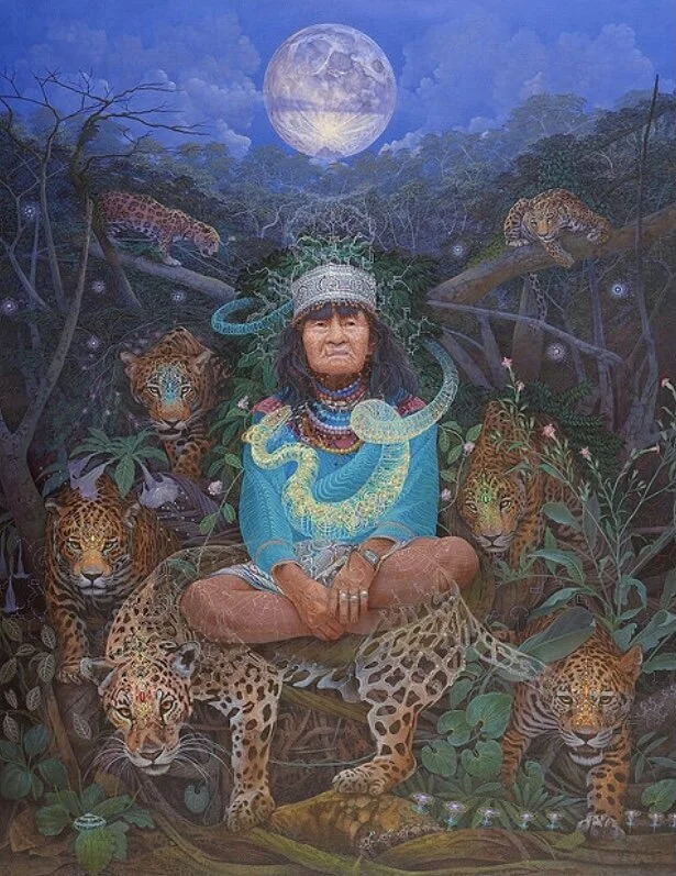 A Silent Revolution: Internal Conversations, Thoughts &amp; Interpretations