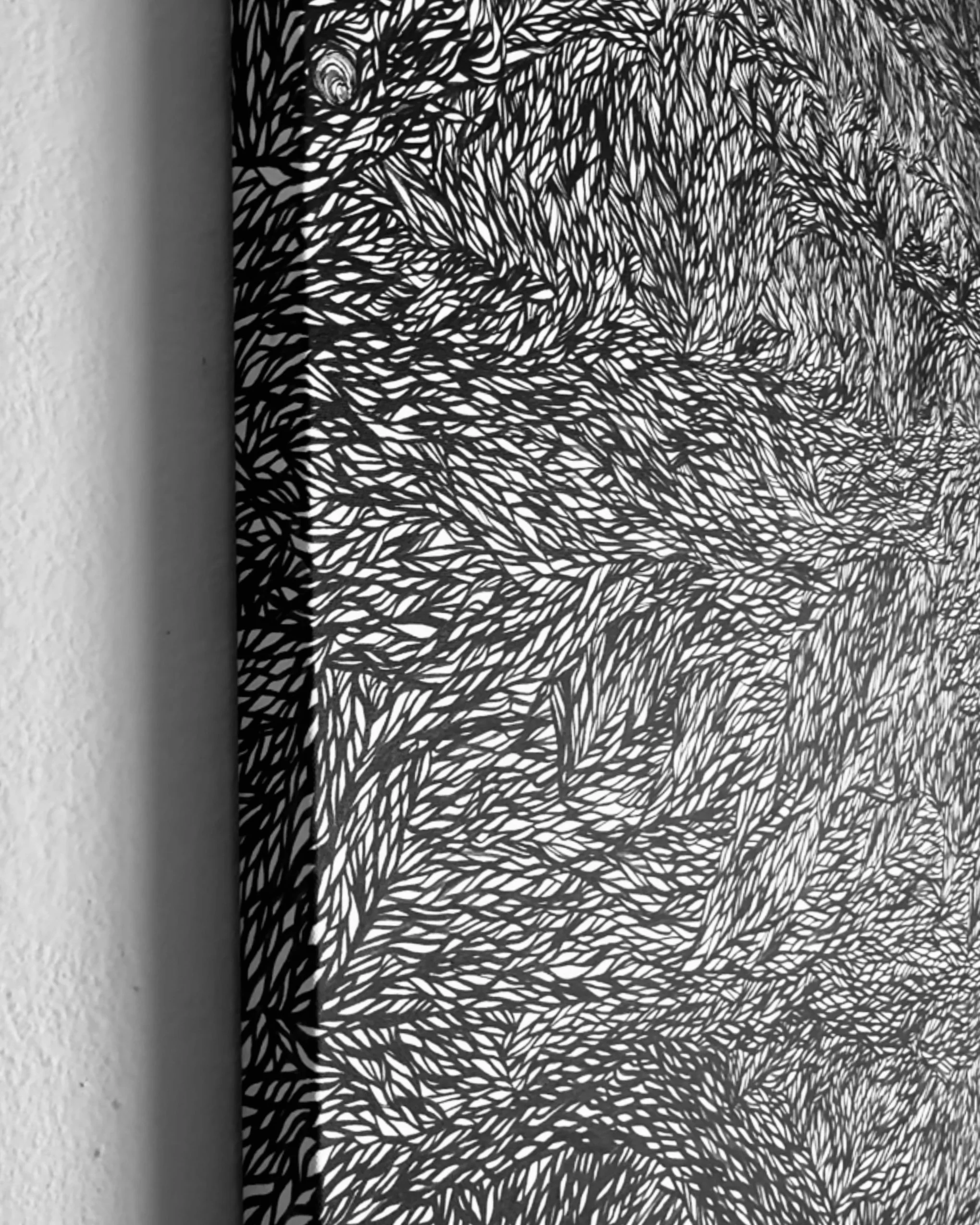 photo-output 2.JPEG