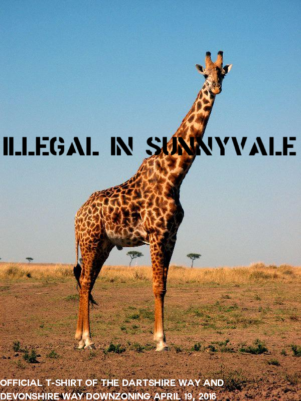 giraffe.png