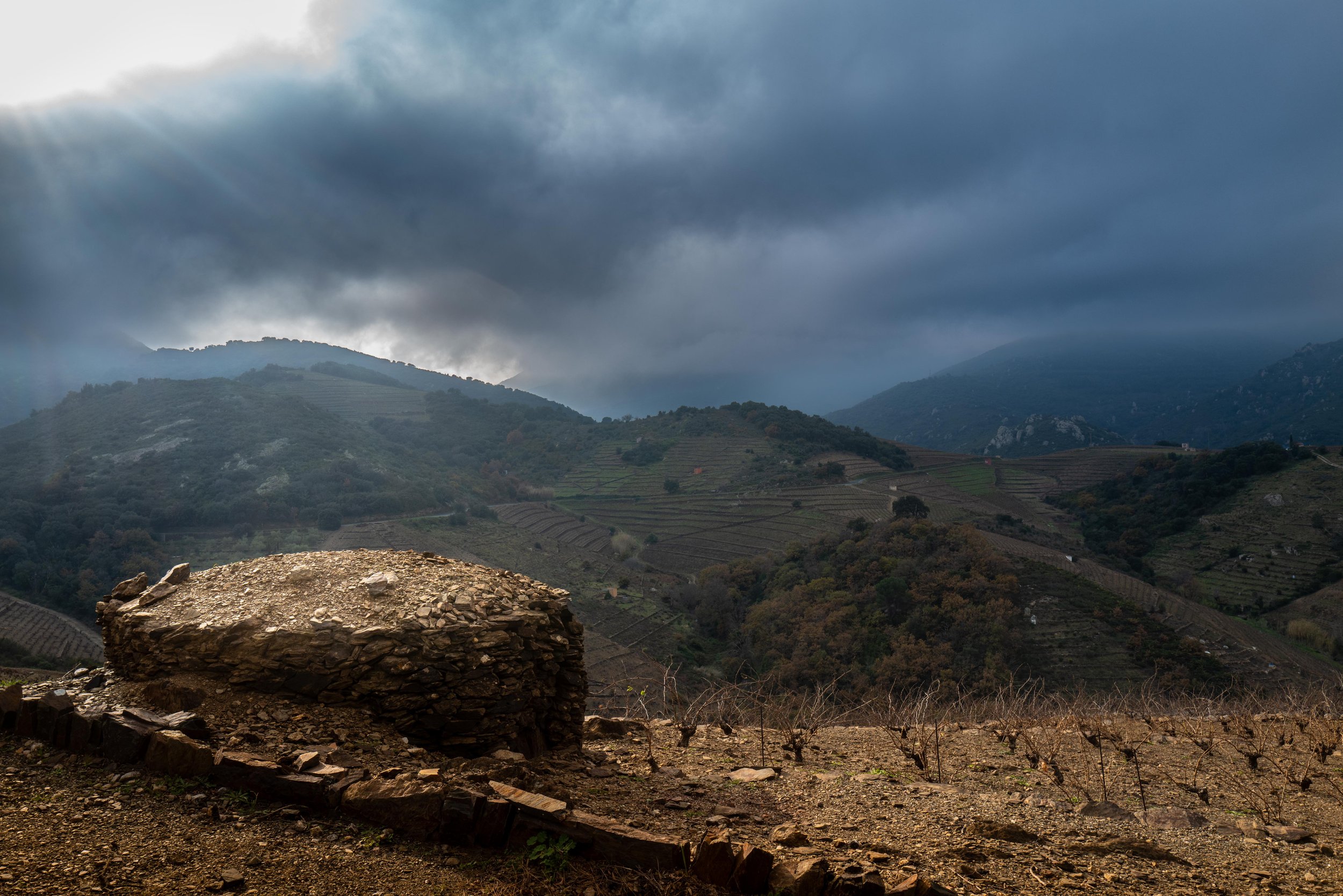 Collioure-4.jpg