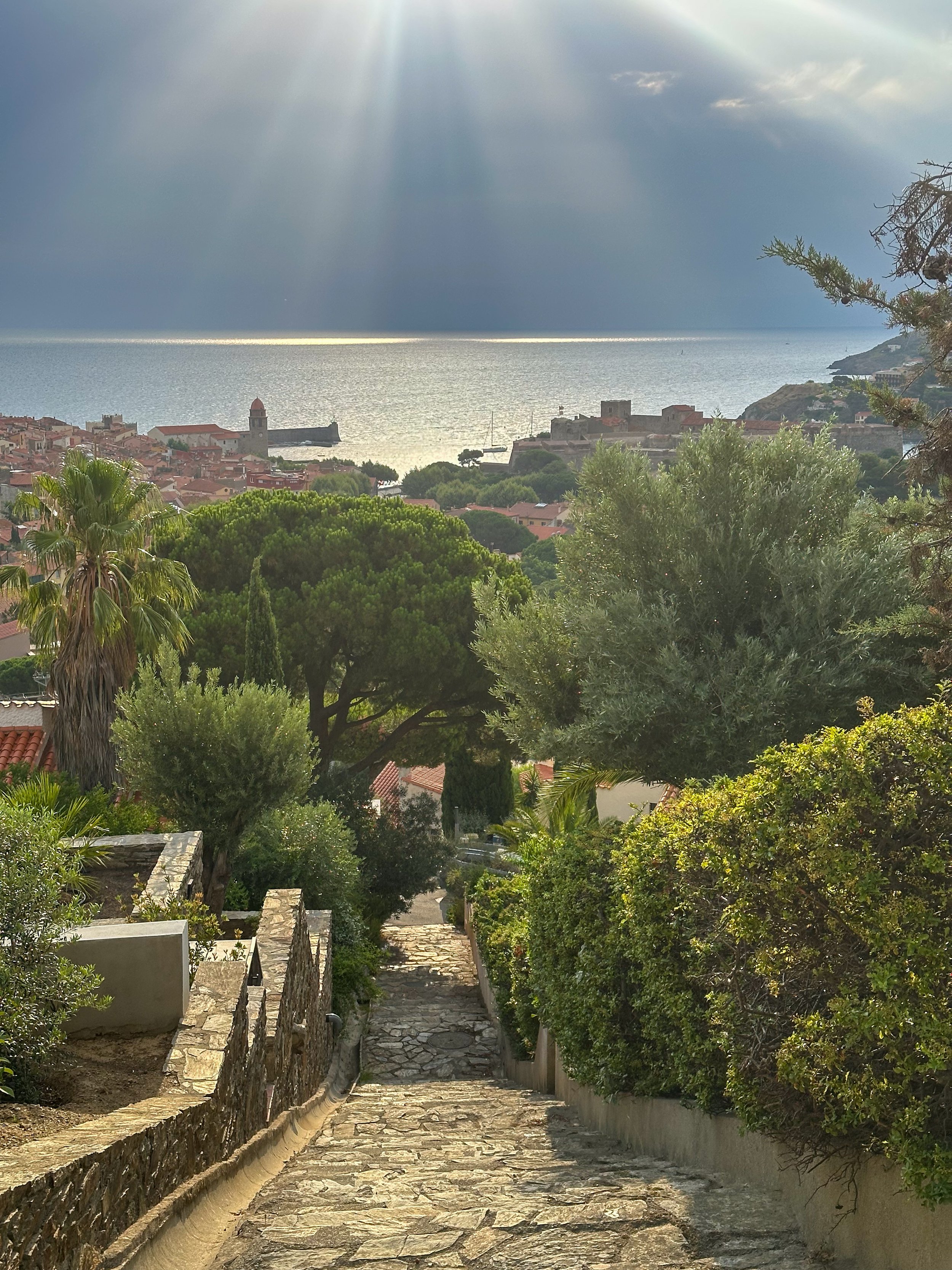 Collioure-10.jpg