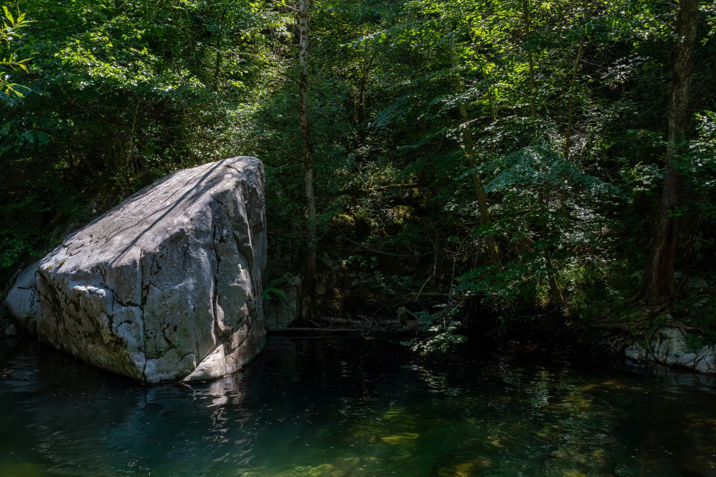 Surprise pools-10.jpg