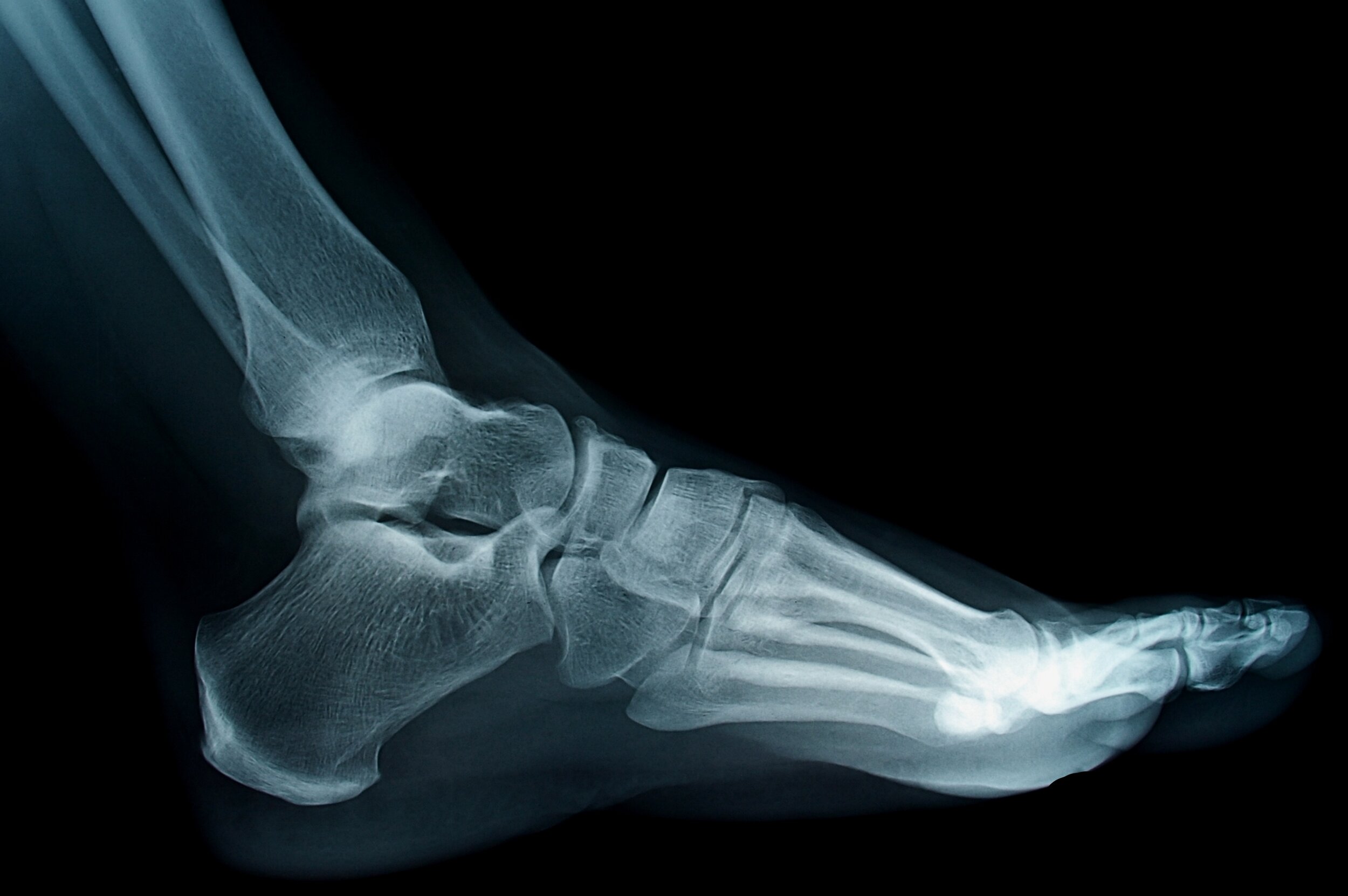 shutterstock_50957560.jpg