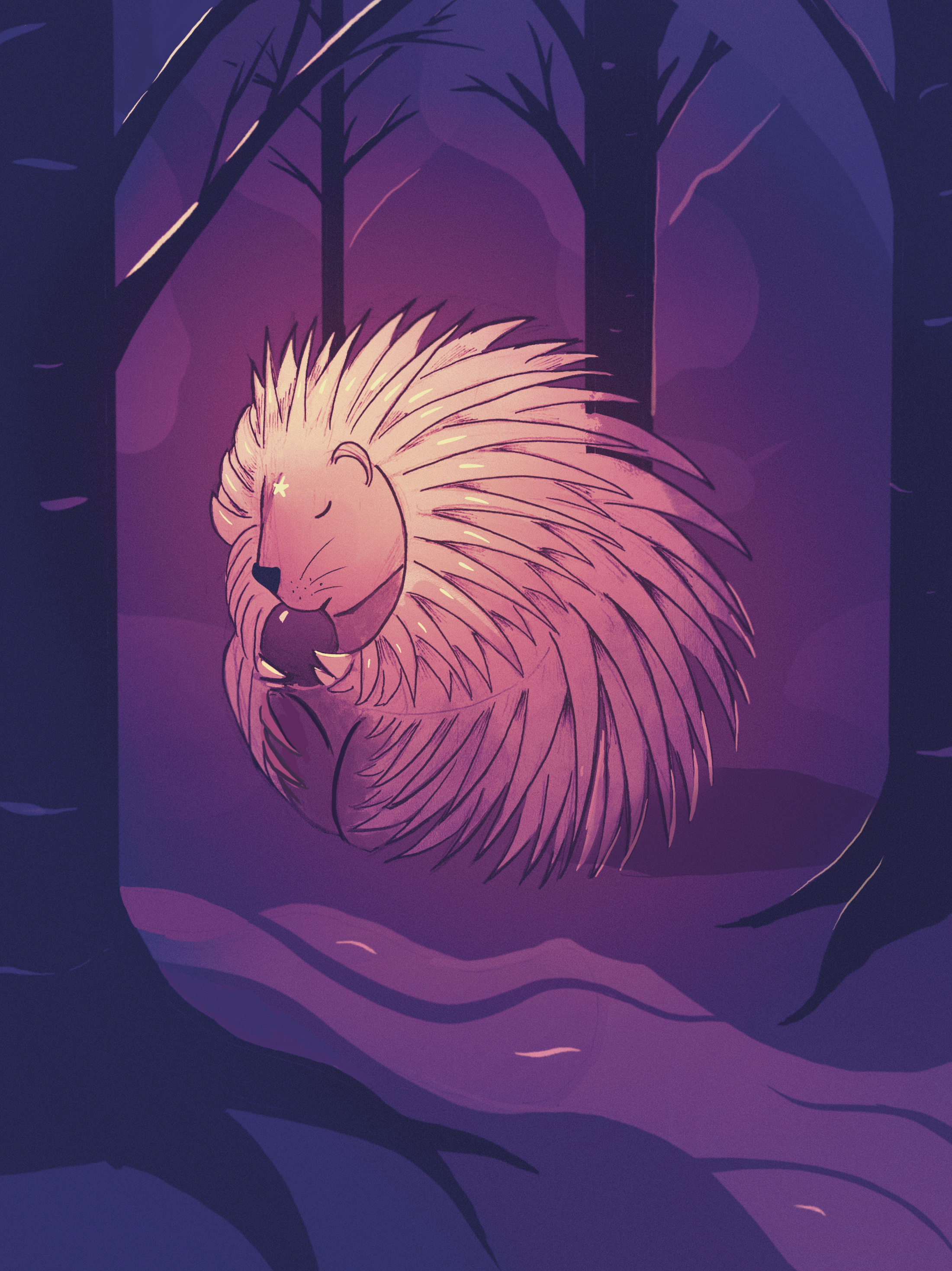 porcupine.png