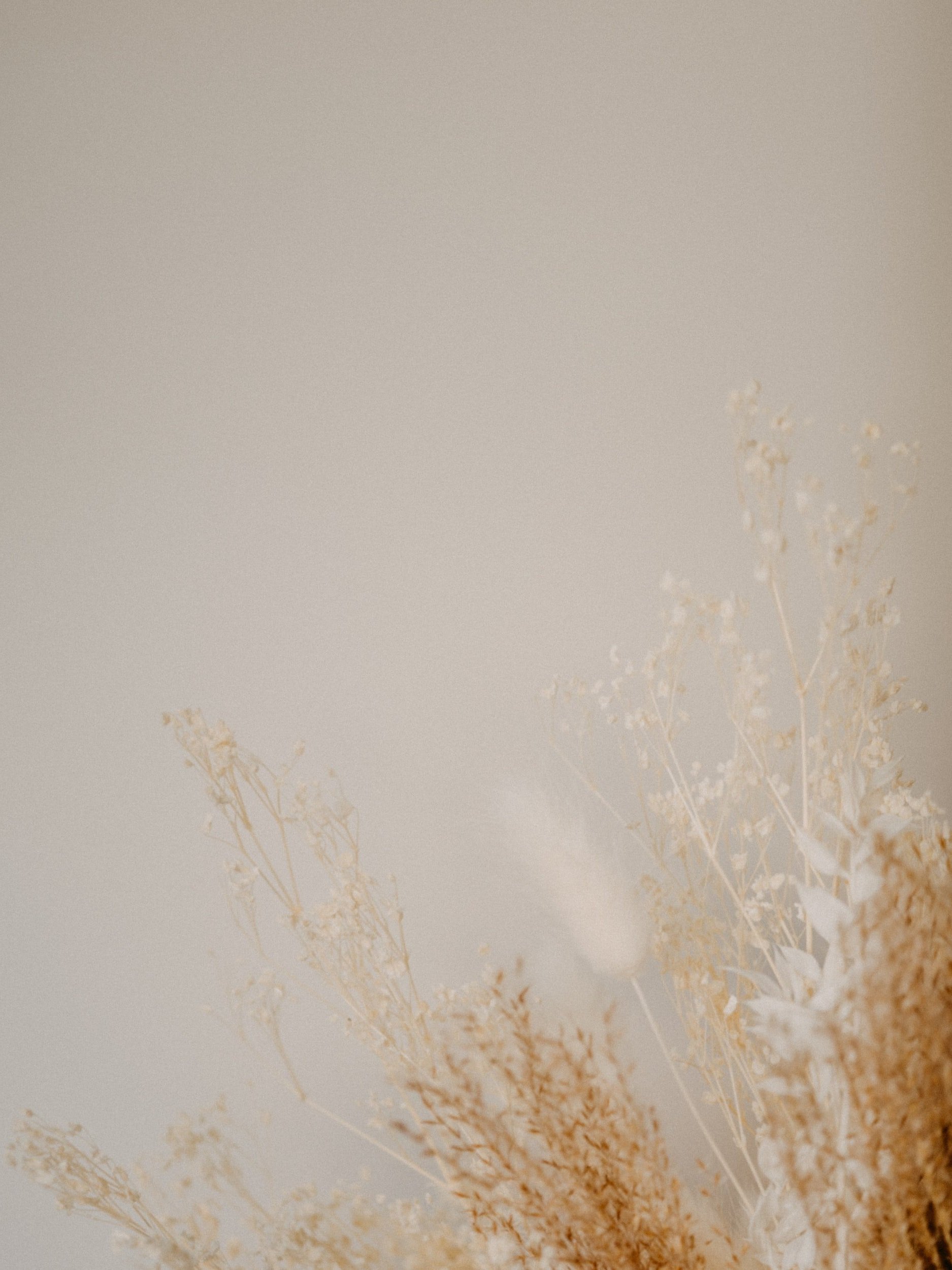 unsplash-image-YmoKERxSpso.jpg