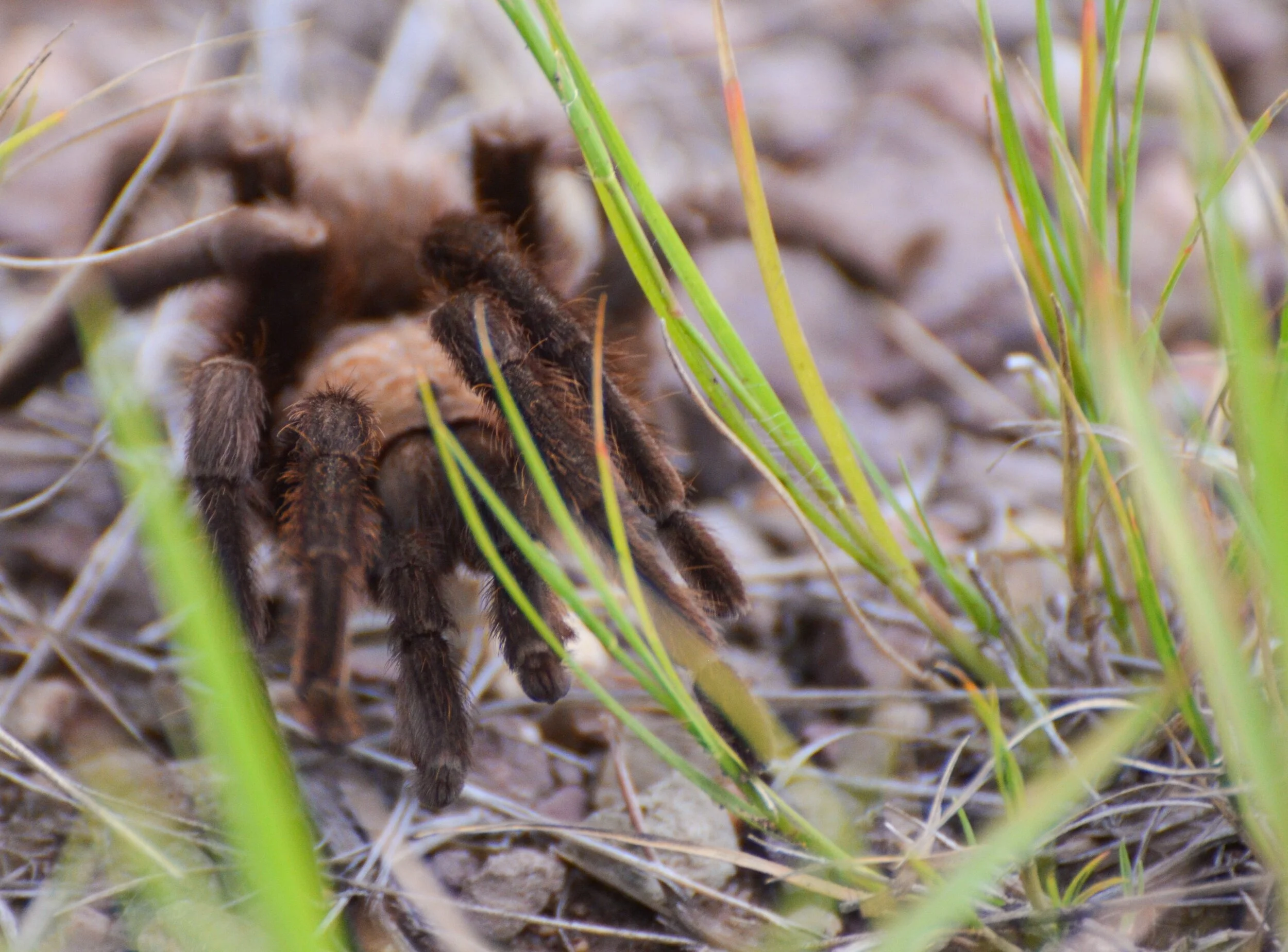 67F0C14A-1CF7-4A6B-AF9A-4C1A78A8BD1D 2.JPEG