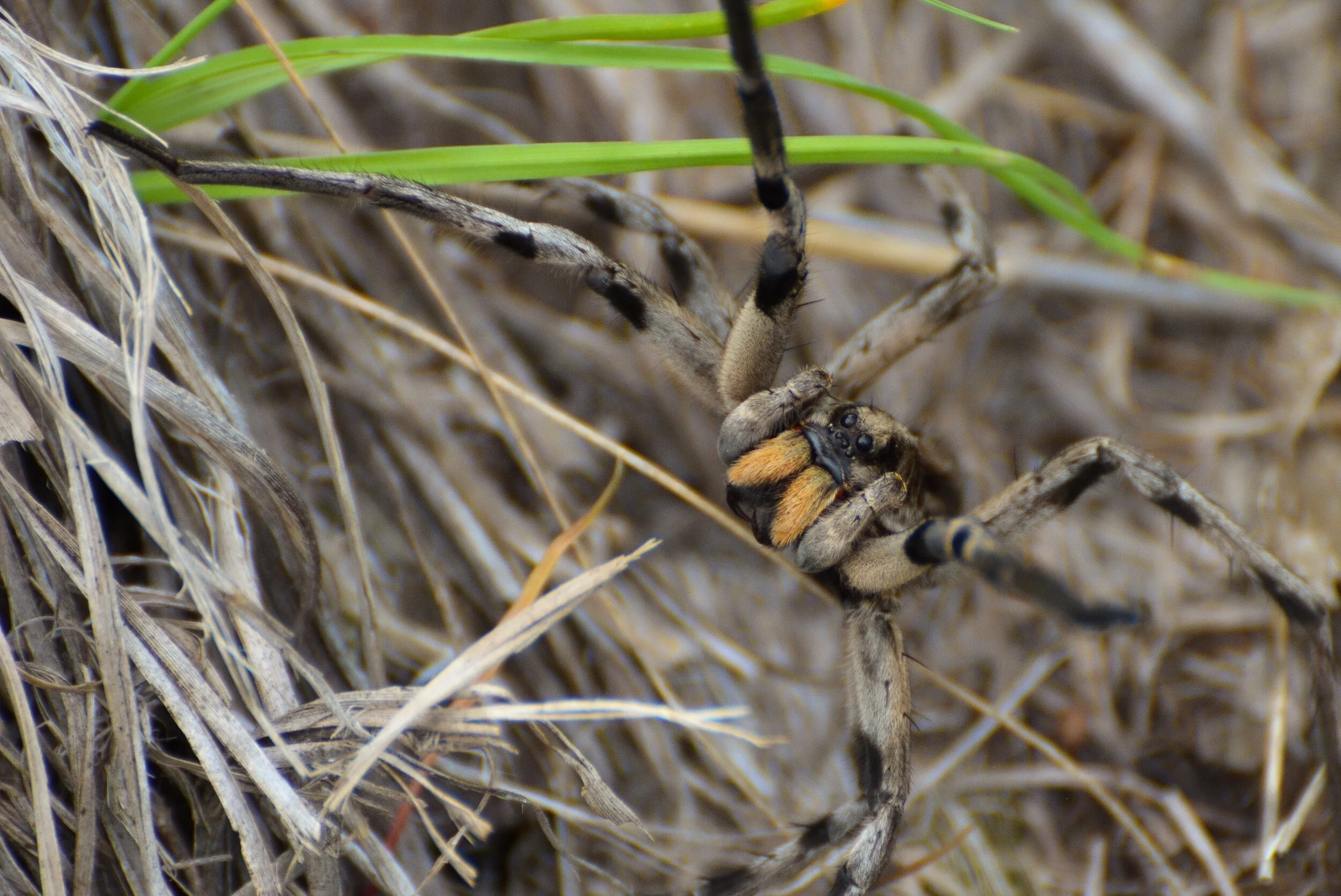 8676B43B-0E02-4DFD-BC95-EE759891CC54 2.JPEG