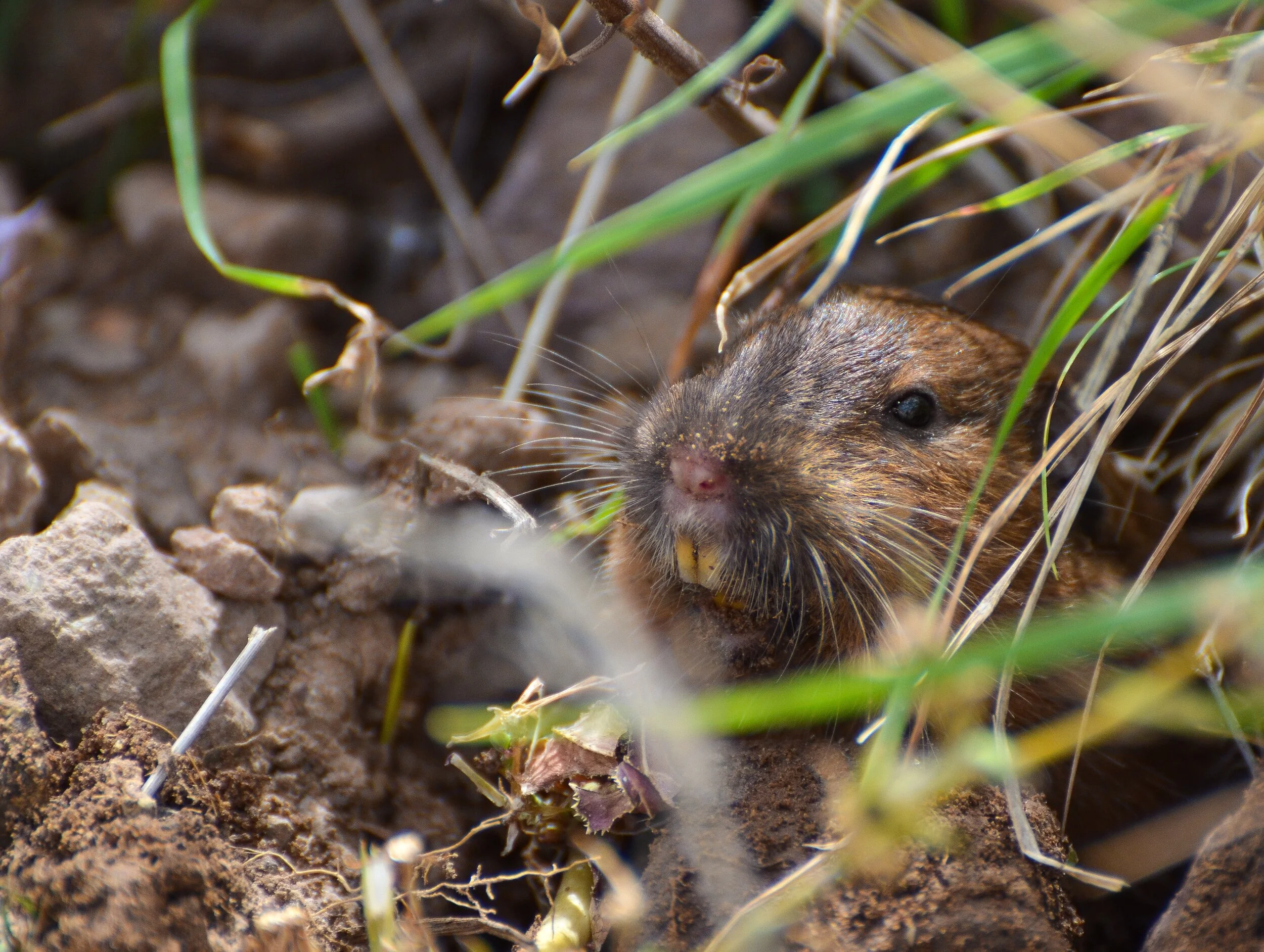 BCD9D126-0212-4A07-944C-9AEB55C5CC52 2.JPEG