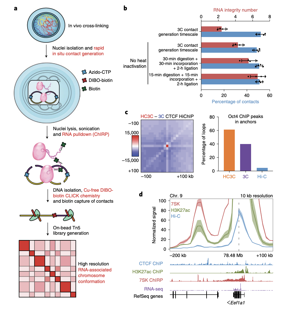 Maxwell R. Mumbach, Jeffrey M. Granja, Ryan A. Flynn, Caitlin M. Roake, Ansuman T. Satpathy, Adam J. Rubin, Yanyan Qi, Zhaozhao Jiang, Shadi Shams, Bryan H. Louie, Jimmy K. Guo, David G. Gennert, M. Ryan Corces, Paul A. Khavari, Maninjay K. Atianand…