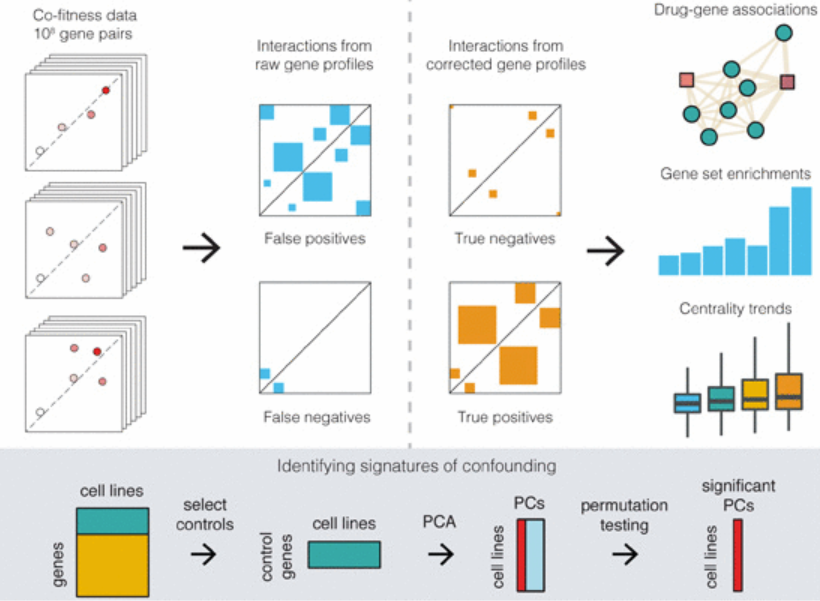 Evan A Boyle , Jonathan K Pritchard &amp; William J Greenleaf (2018) “ High‐resolution mapping of cancer cell networks using co‐functional interactions ” Molecular Systems Biology