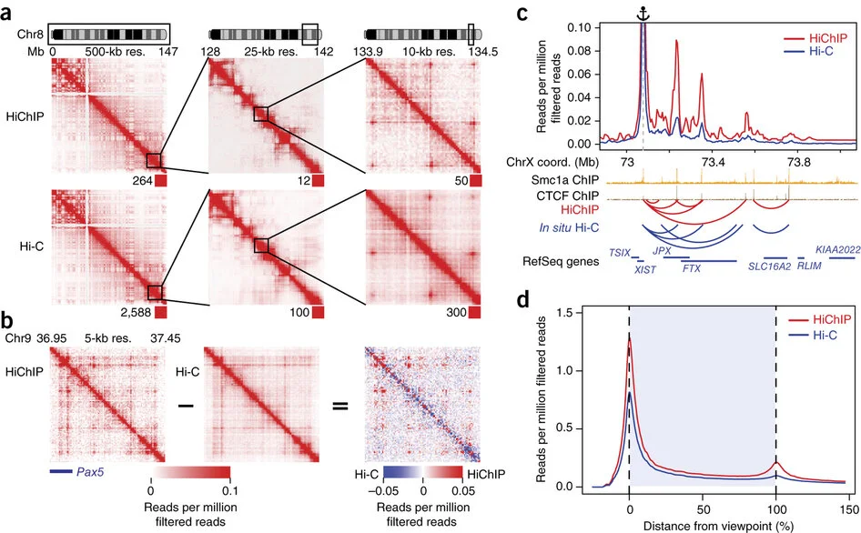 Mumbach MR, Rubin AJ, Flynn RA, Dai C, Khavari PA, Greenleaf WJ, and Chang HY (2016) “HiChIP: efficient and sensitive analysis of protein-directed genome architecture” Nature Methods