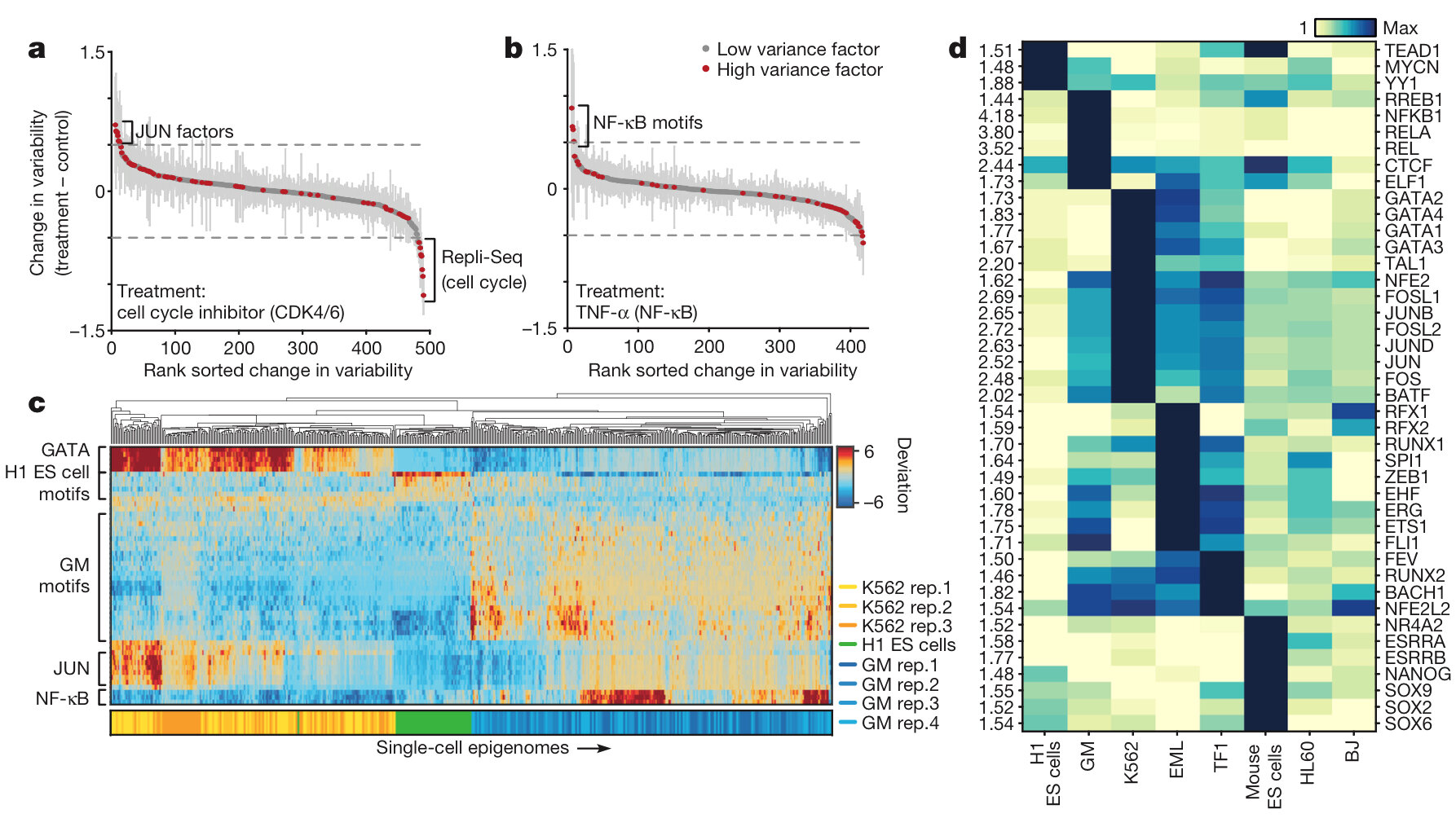 Buenrostro JD, Wu B, Litzenburger UM, Ruff D, Gonzales ML, Snyder MP, Chang HY, Greenleaf WJ. (2015) "Single-cell chromatin accessibility reveals principles of regulatory variation." Nature