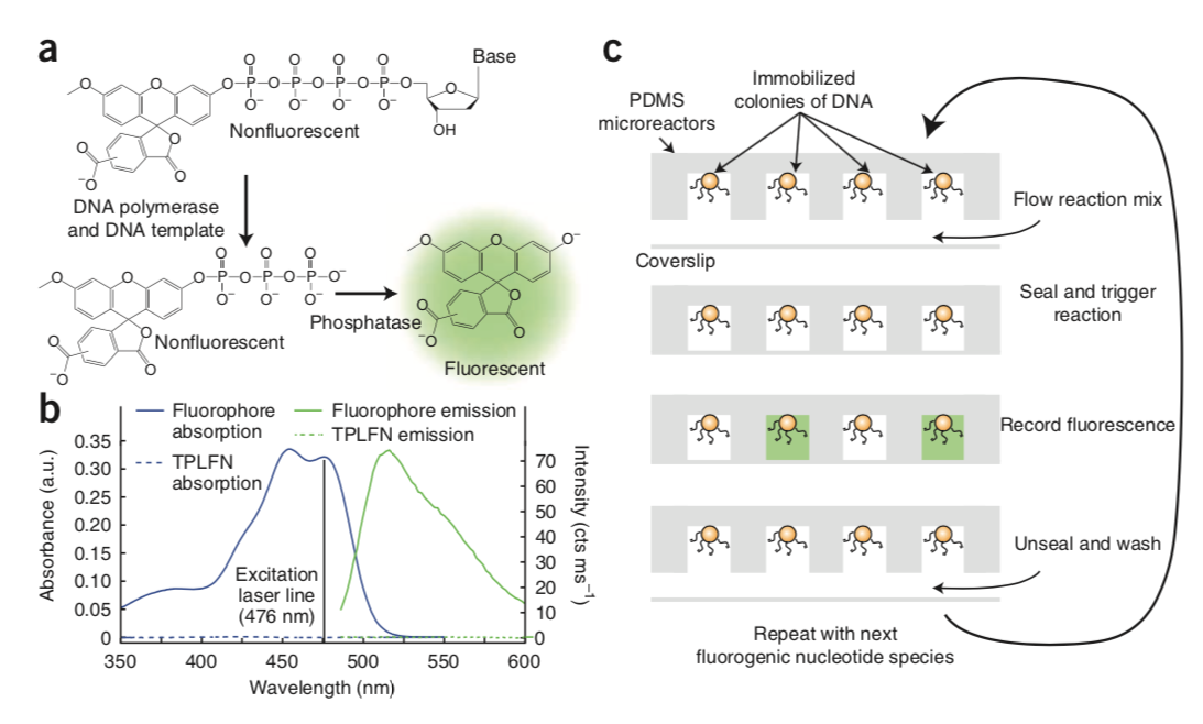 Peter A Sims, William J Greenleaf, Haifeng Duan, X Sunney Xie. (2011) “Fluorogenic DNA sequencing in PDMS microreactors” Nature Methods