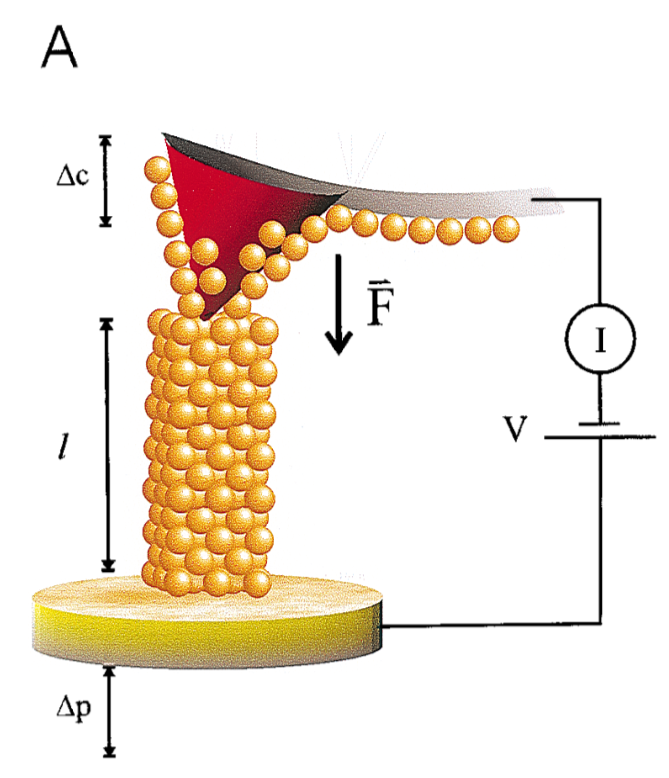 Piotr E. Marszalek, William J. Greenleaf, Hongbin Li, Andres F. Oberhauser, Julio M. Fernandez (2000) “Atomic force microscopy captures quantized plastic deformation in gold nanowires” PNAS